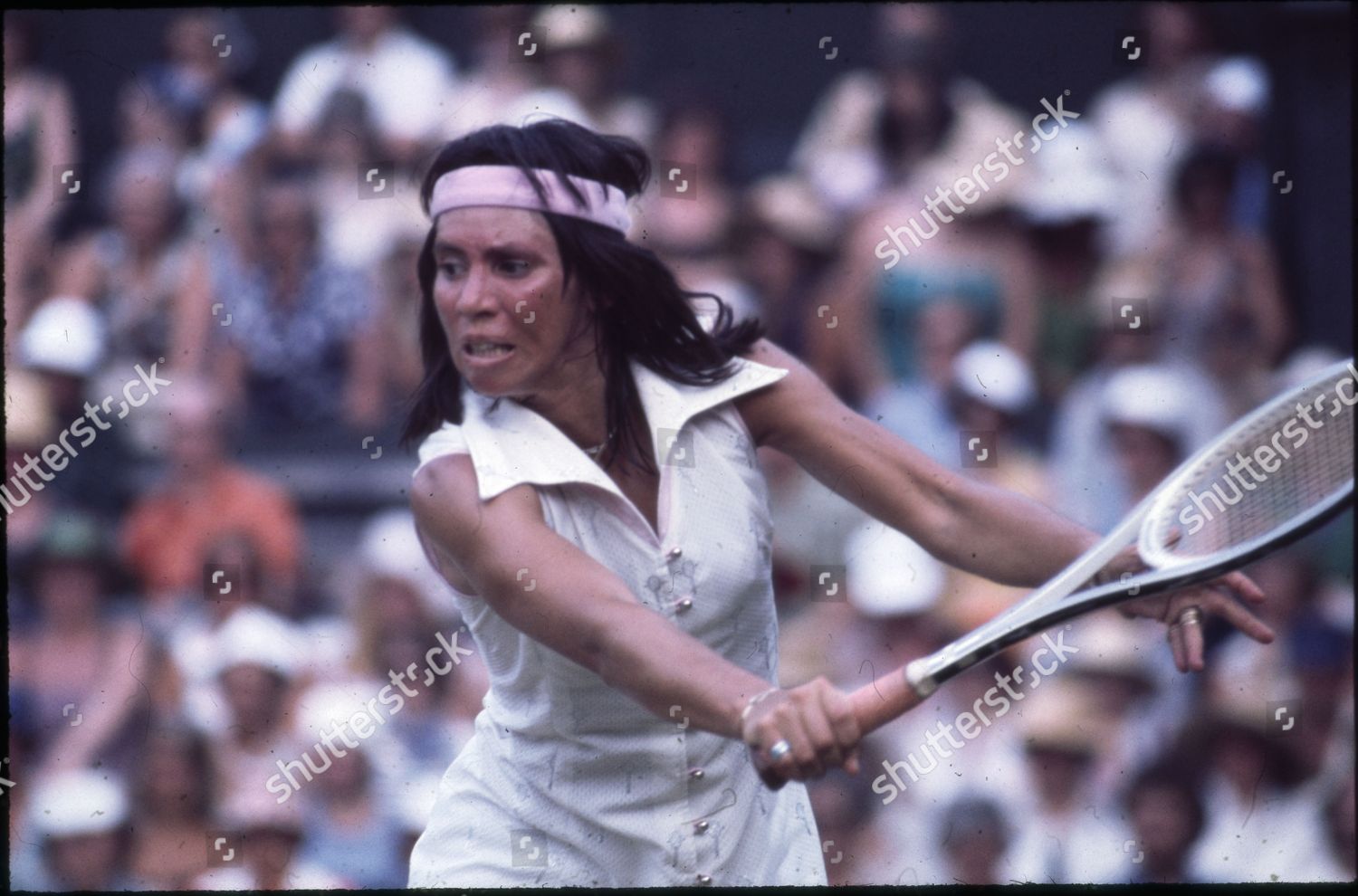 Rosemary Casals American Tennis Player Editorial Stock Photo - Stock ...