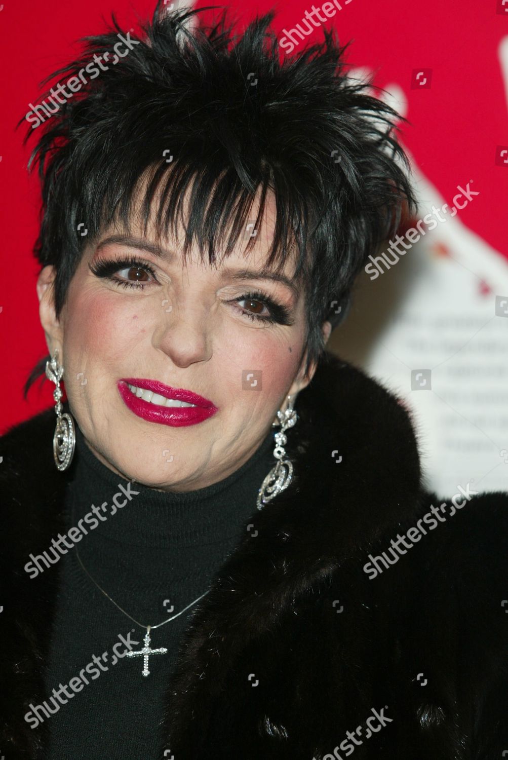 Liza Minnelli Editorial Stock Photo - Stock Image | Shutterstock