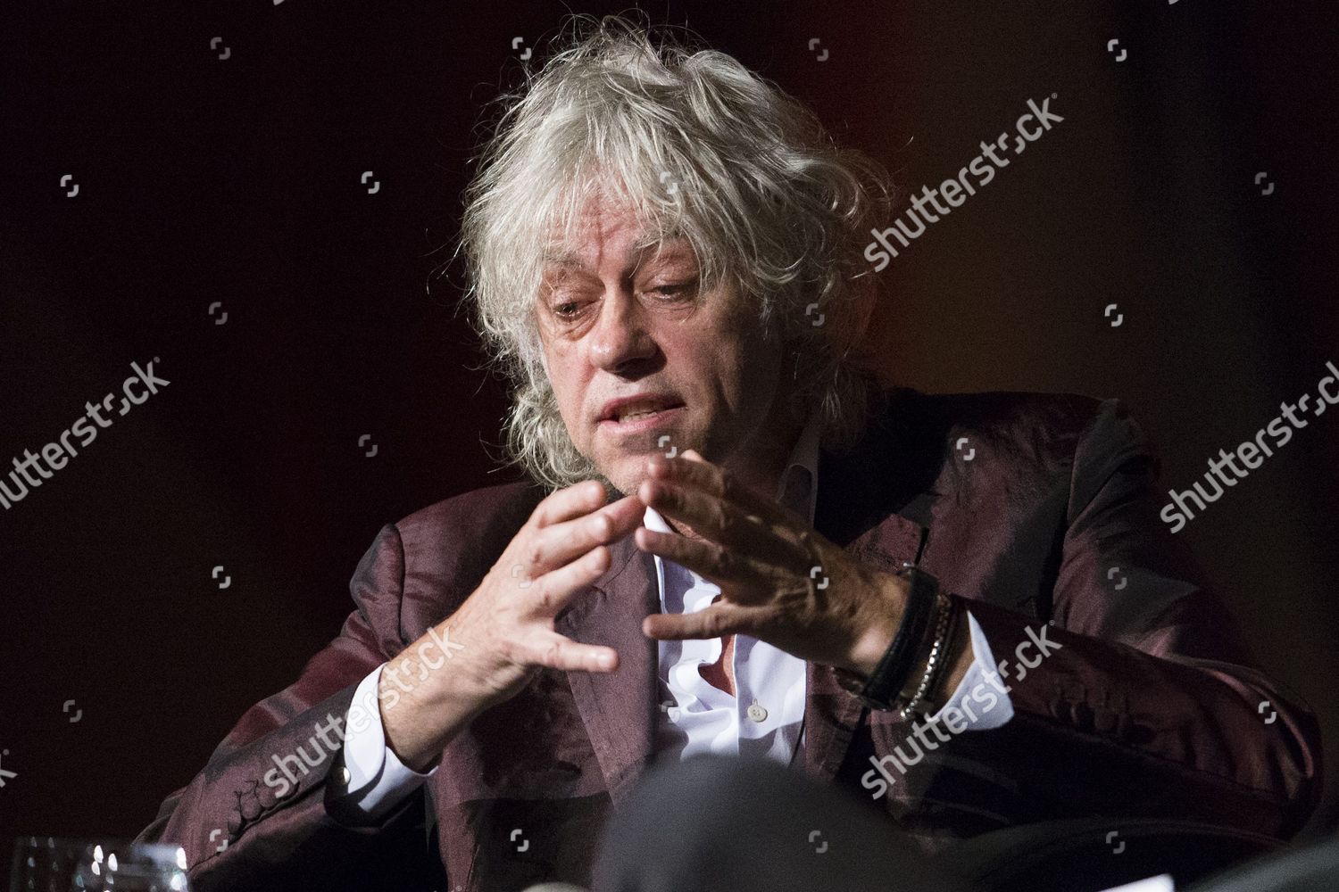 Sir Bob Geldof Editorial Stock Photo - Stock Image | Shutterstock