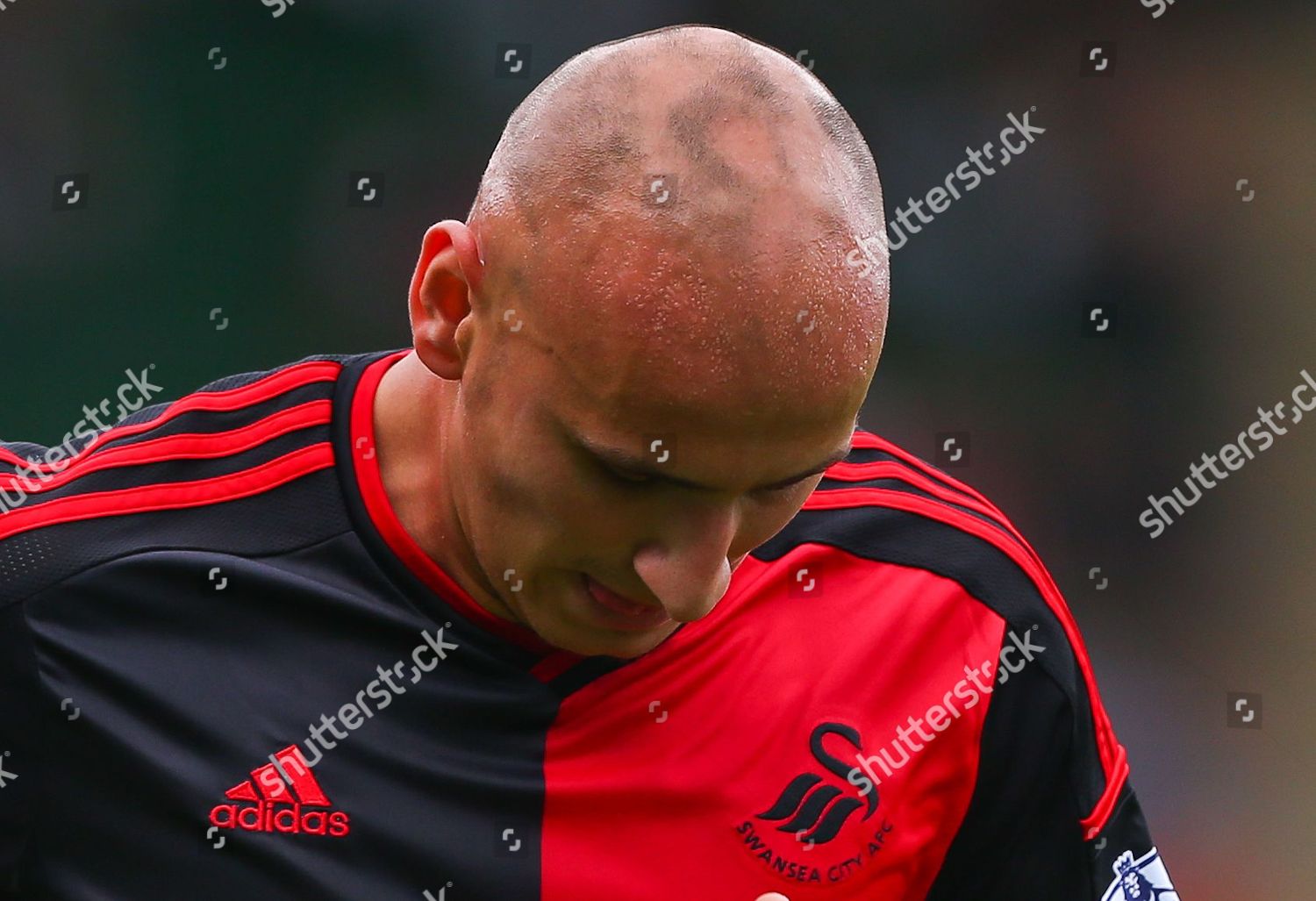 Head Jonjo Shelvey Swansea City Who Suffers Editorial Stock Photo Stock Image Shutterstock