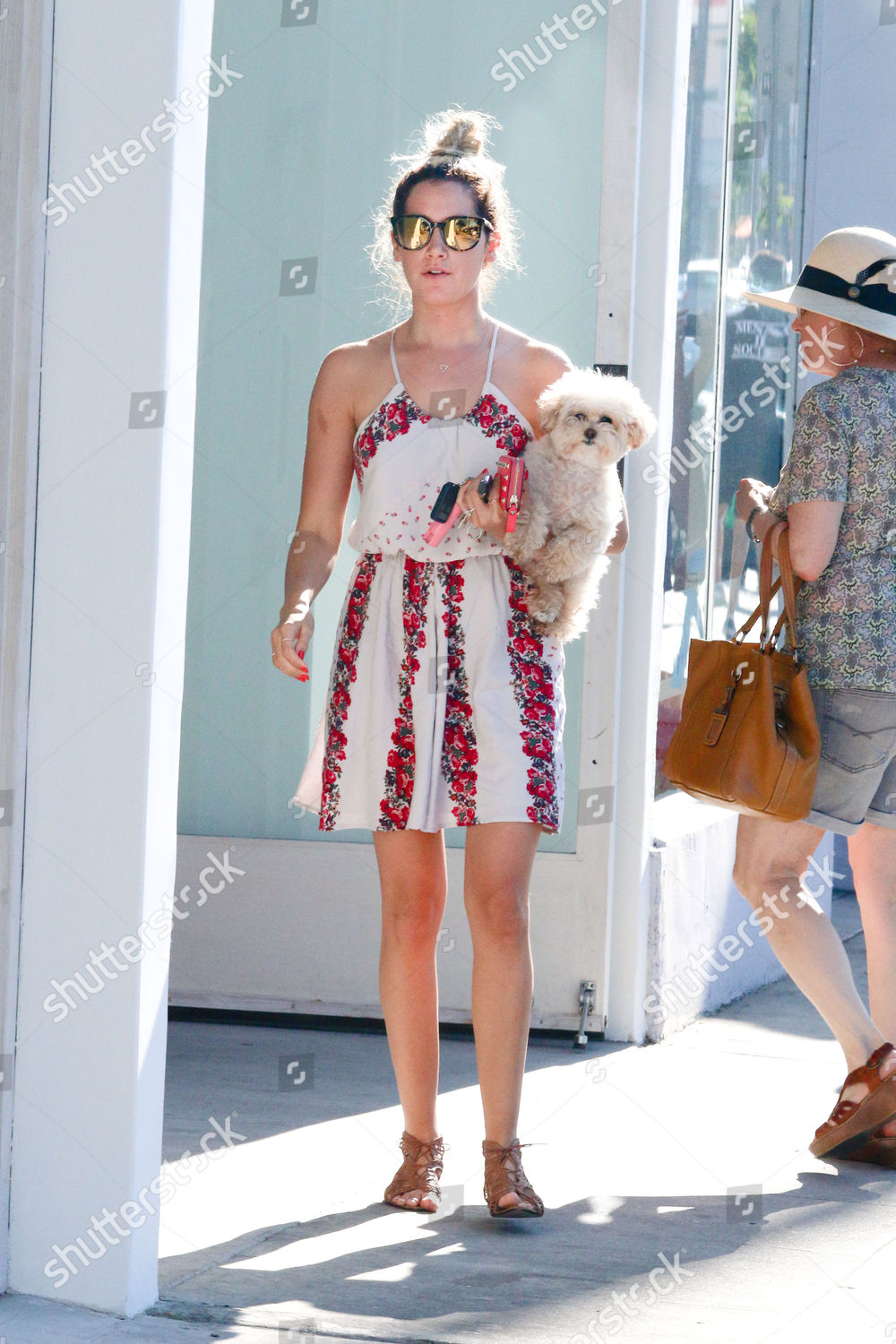 Ashley Tisdale Her Dog Editorial Stock Photo - Stock Image | Shutterstock