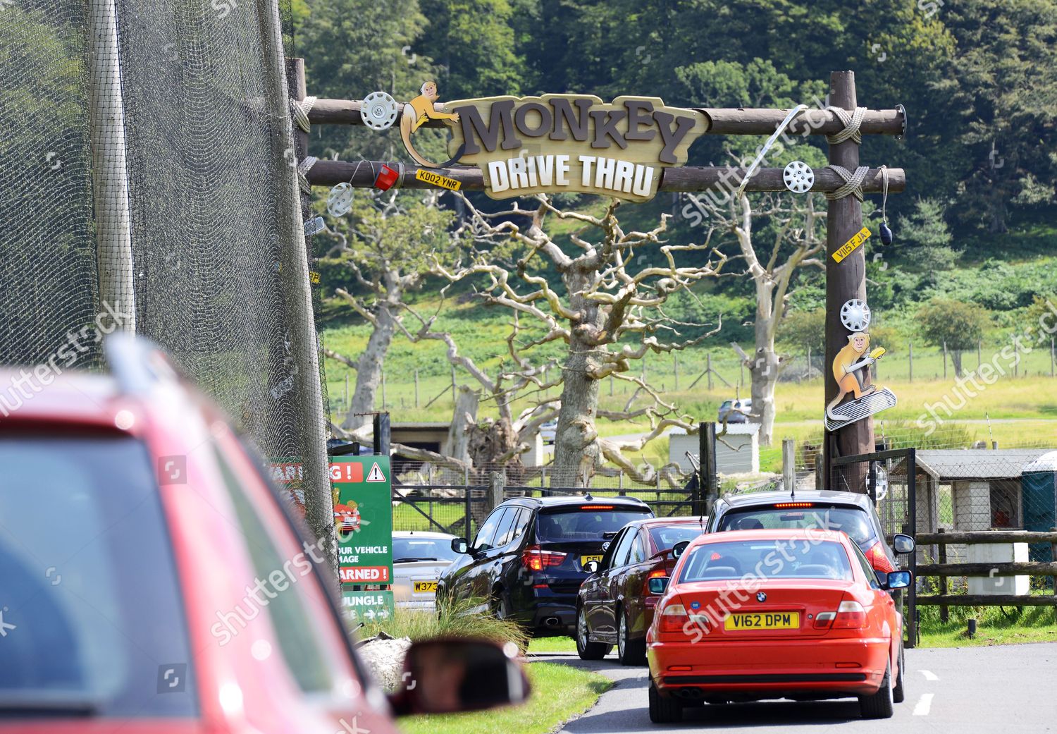 monkey-enclosure-drive-thru-editorial-stock-photo-stock-image