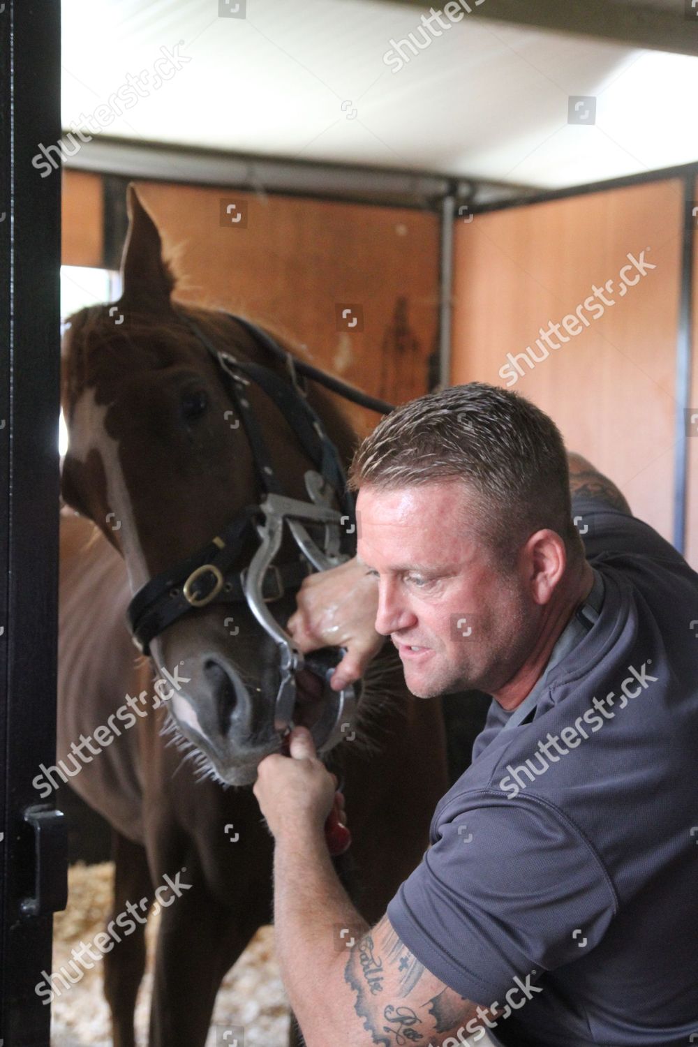 Malton Stables Open Day Equine Dentist Dean Editorial Stock Photo Stock Image Shutterstock
