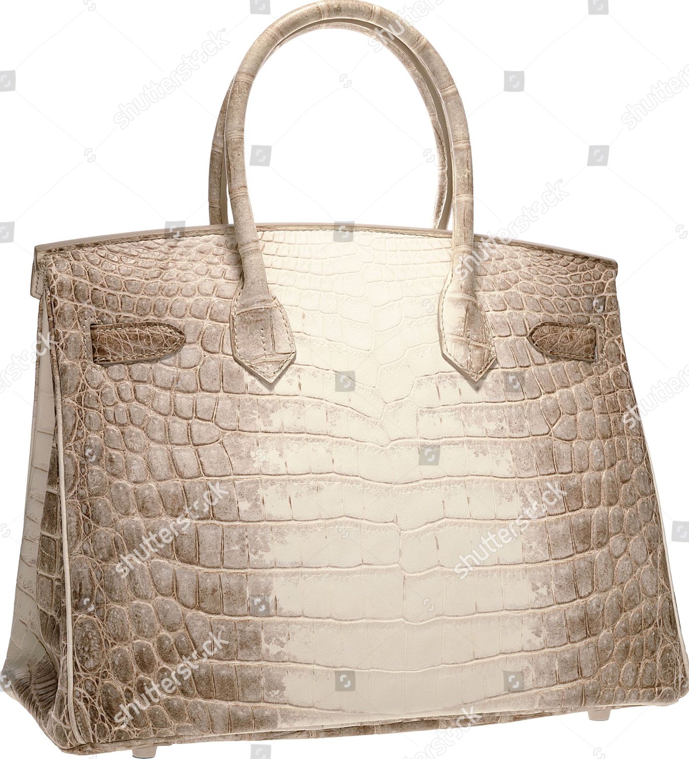 albino alligator purse