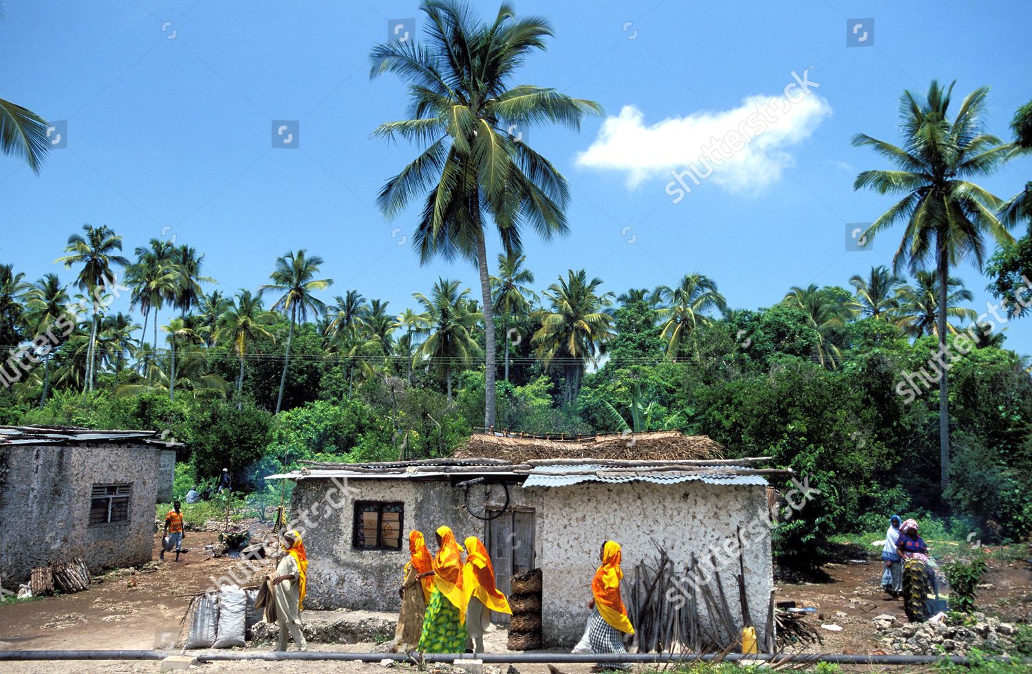 Women Going Marraige Fete Editorial Stock Photo - Stock Image