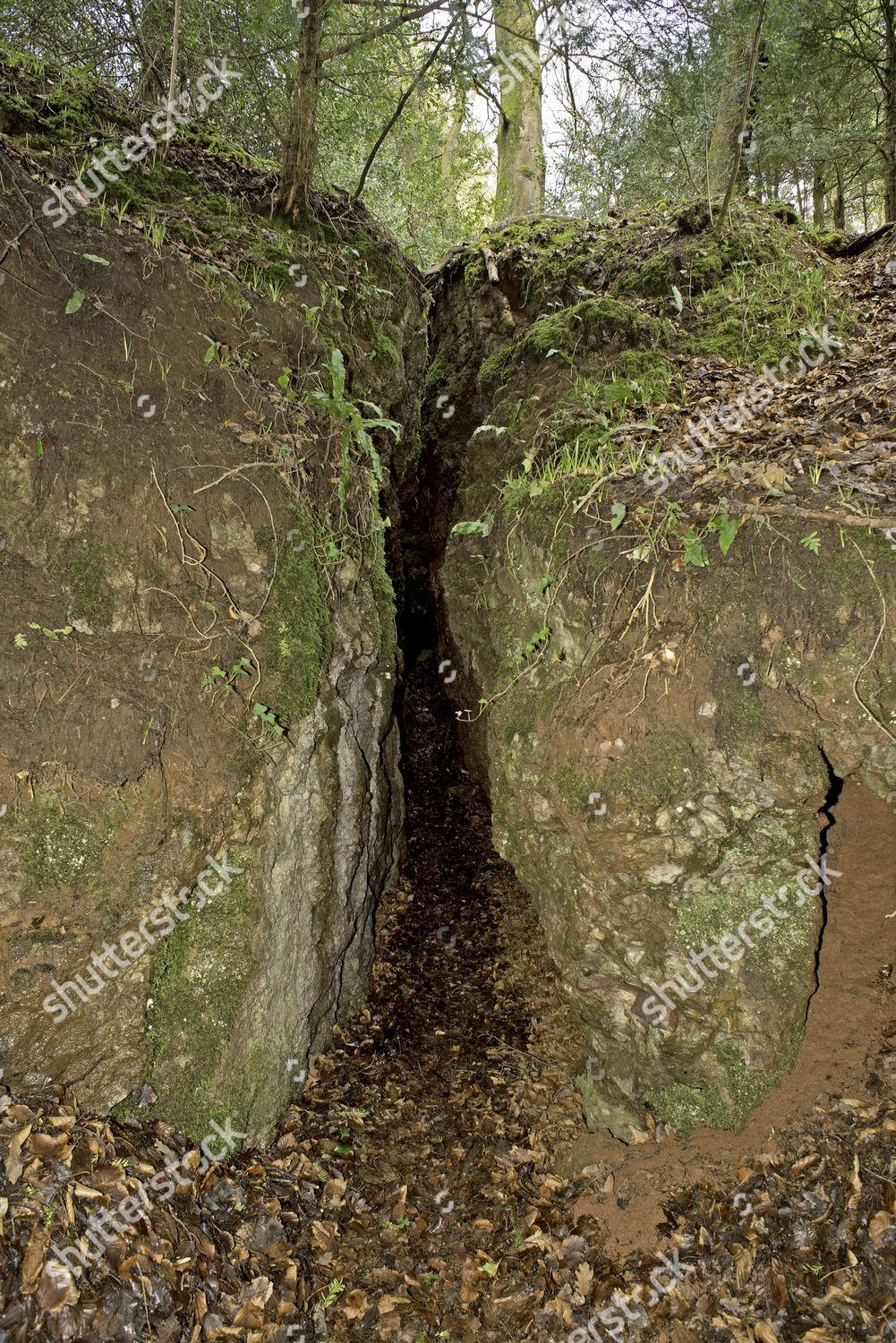 Bat Hibernaculum Narrow Entrance Limestone Cave Editorial Stock Photo ...