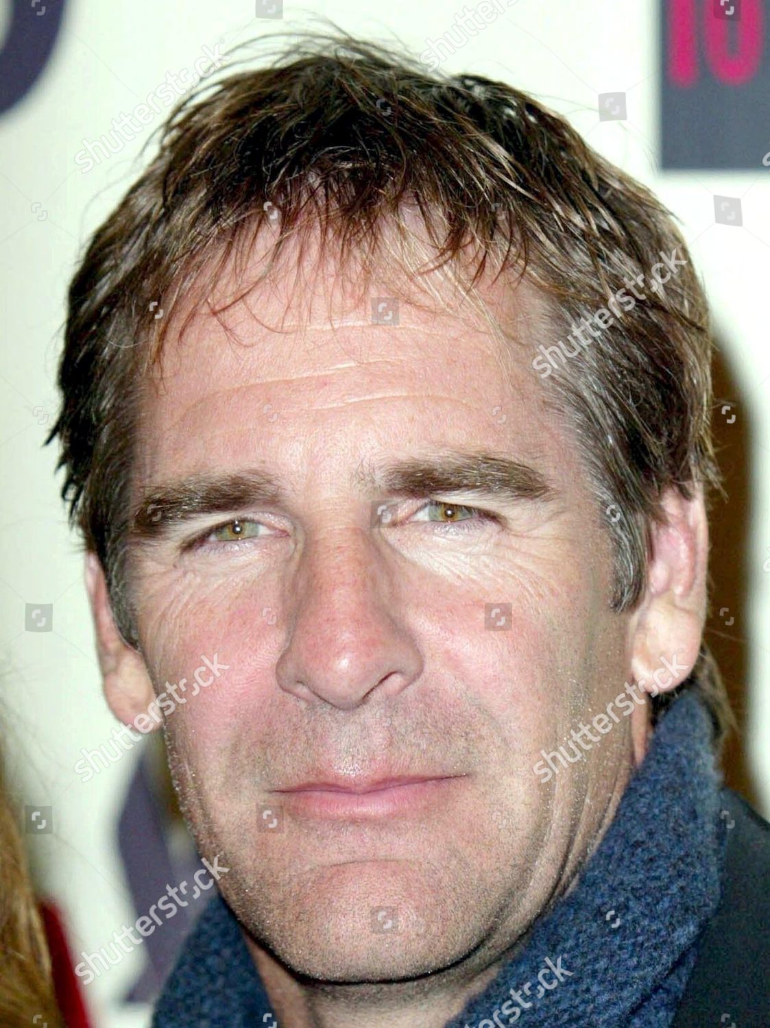 Scott Bakula Editorial Stock Photo - Stock Image | Shutterstock