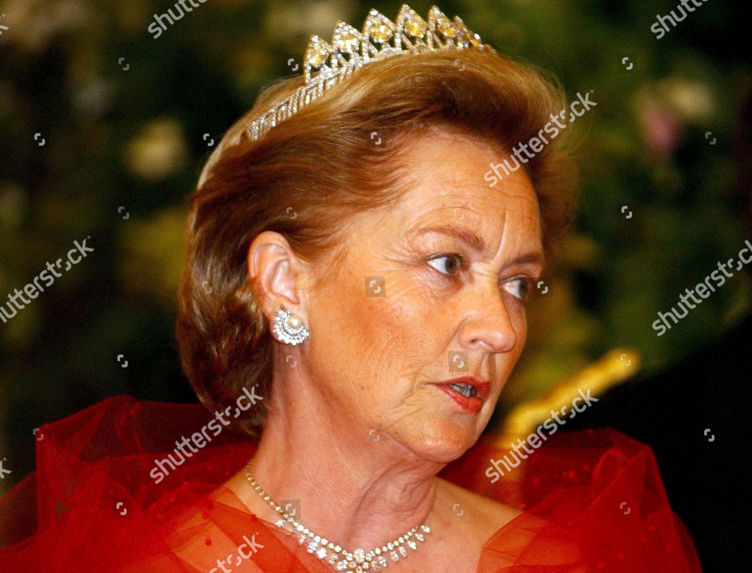 THE KING AND QUEEN OF NORWAY VISIT BELGIUM - MAY 2003: стоковое фото