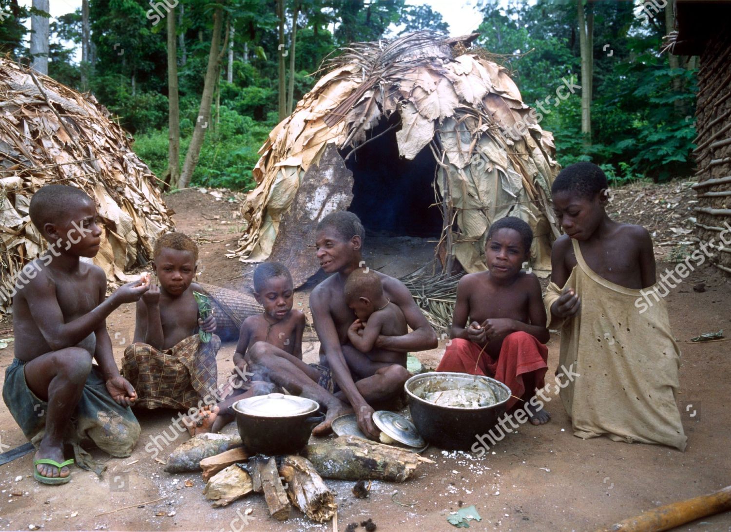 Племена пигмеи - мбути жилища