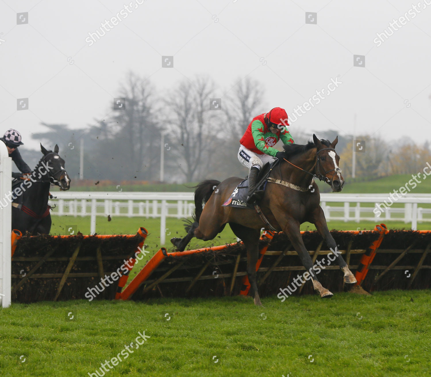 Fletchers Flyer Ruby Walsh Wins Mitie Editorial Stock Photo Stock