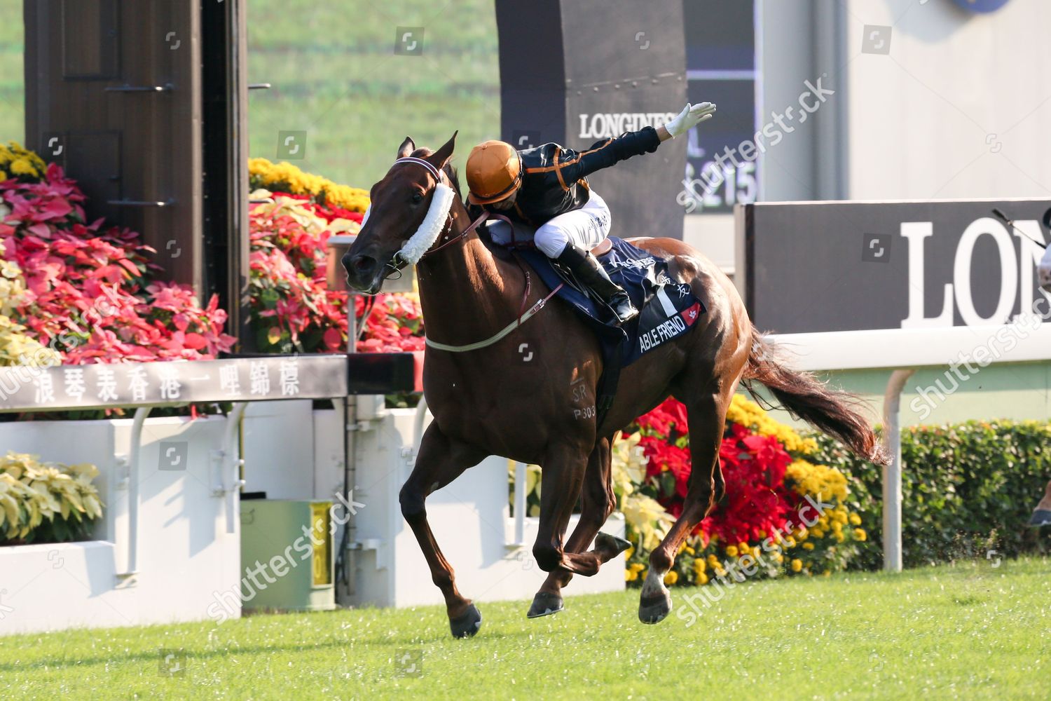 Able Friend Under J Moreira Wins Longines Editorial Stock Photo Stock Image Shutterstock