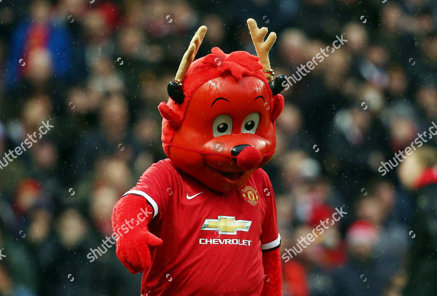Manchester United Mascot Fred Red Wearing Christmas Editorial Stock Photo Stock Image Shutterstock