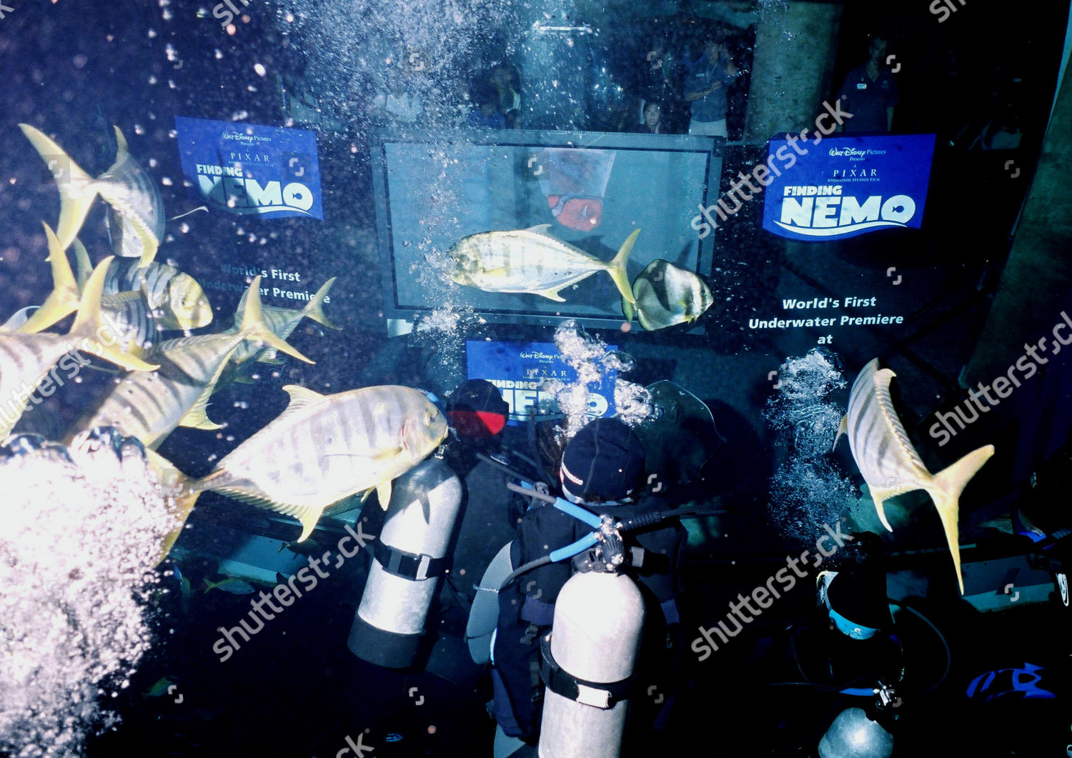 Audience Members Watching Finding Nemo Dvd Underwater Editorial Stock Photo Stock Image Shutterstock