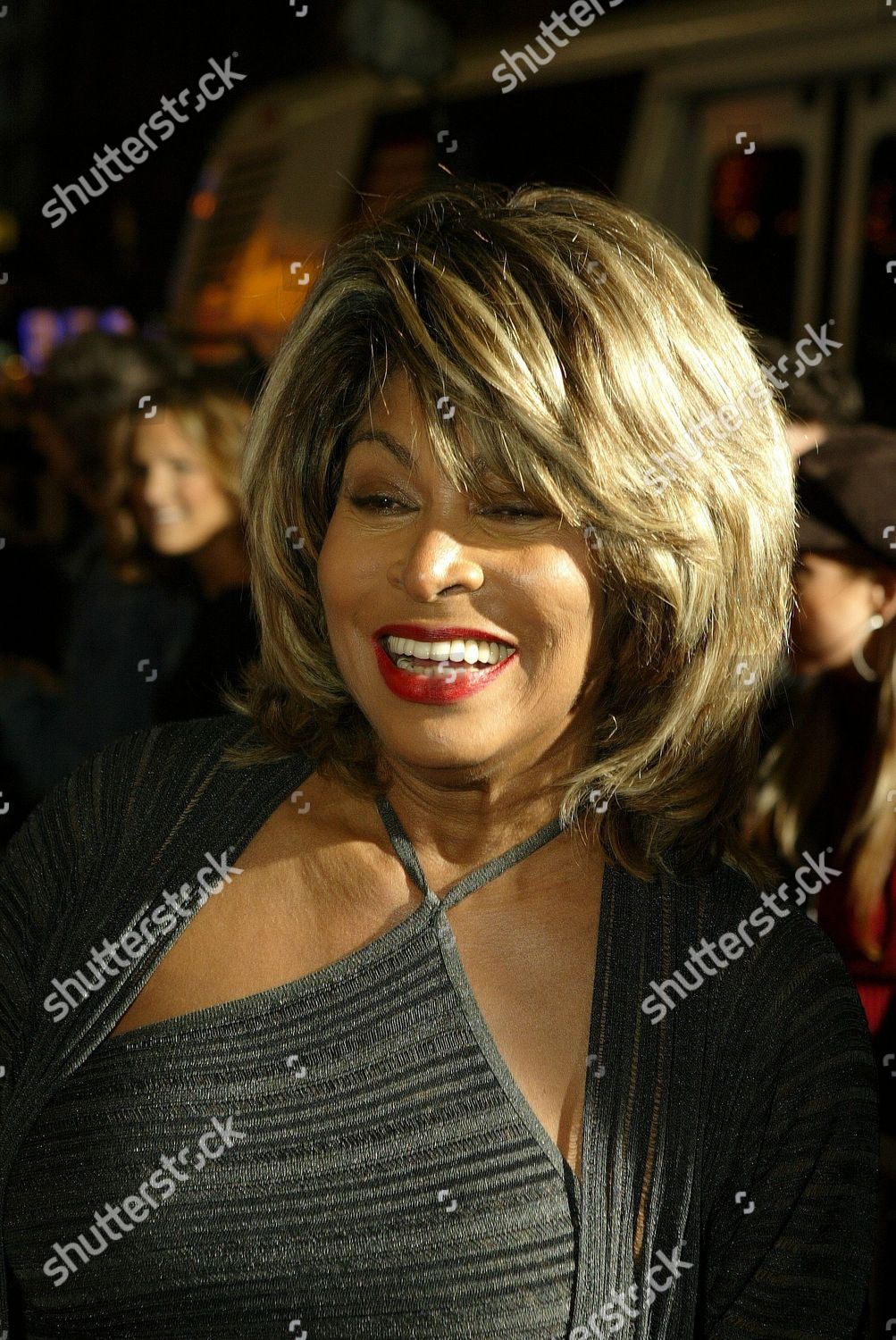 Tina Turner Editorial Stock Photo - Stock Image | Shutterstock