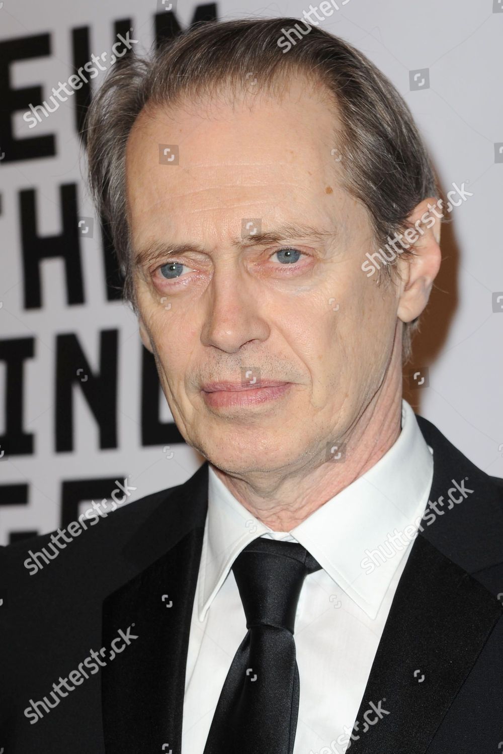 Steve Buscemi Editorial Stock Photo - Stock Image | Shutterstock