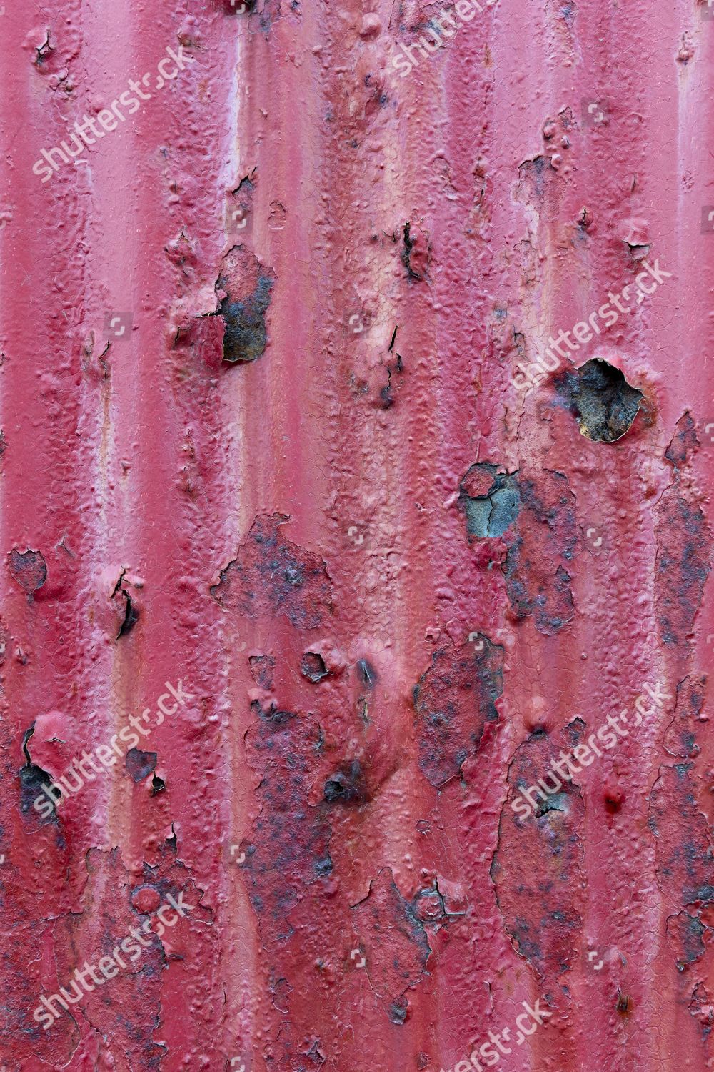 rusty-red-corrugated-iron-sheet-editorial-stock-photo-stock-image