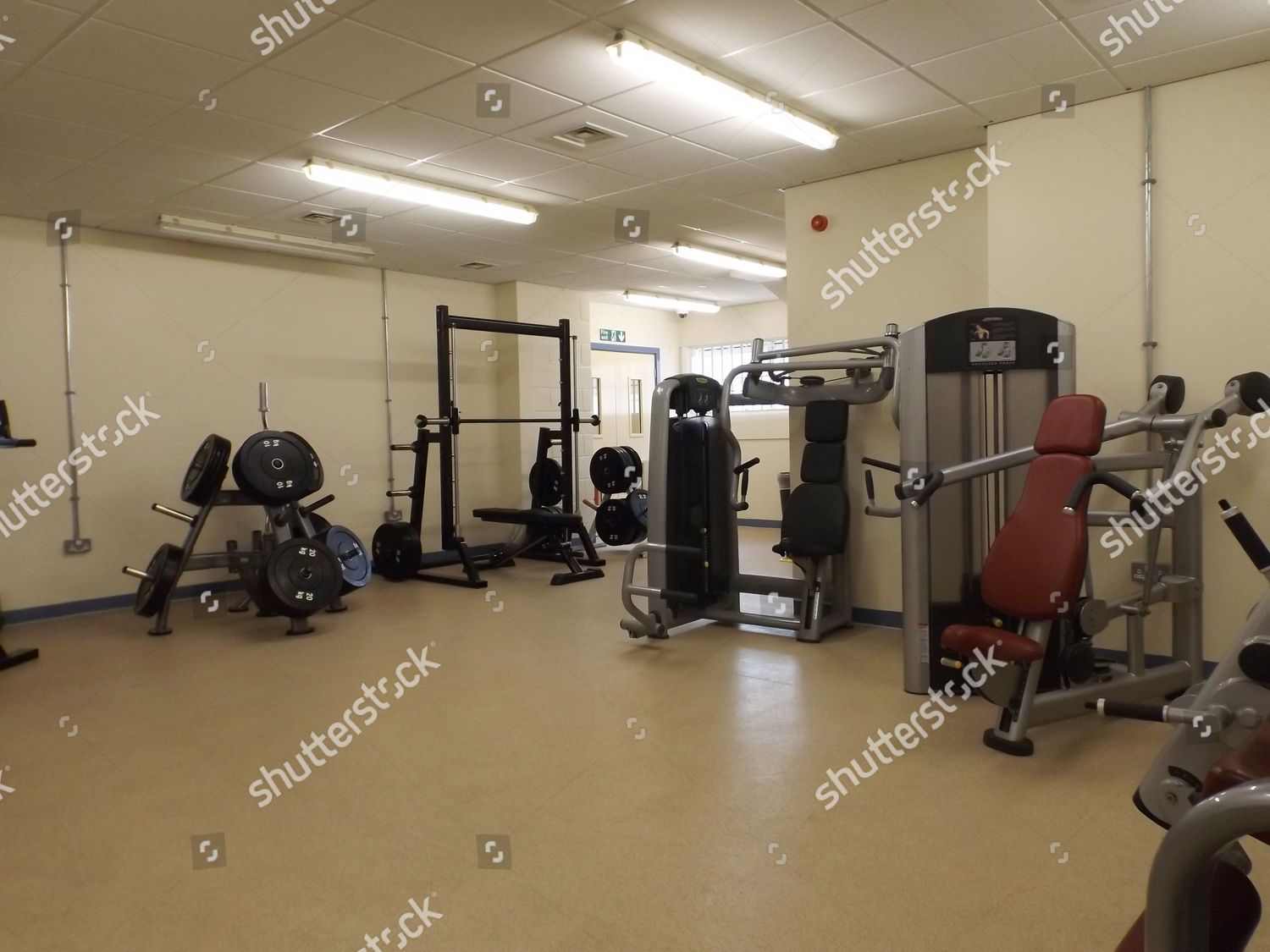 Gym Editorial Stock Photo Stock Image Shutterstock