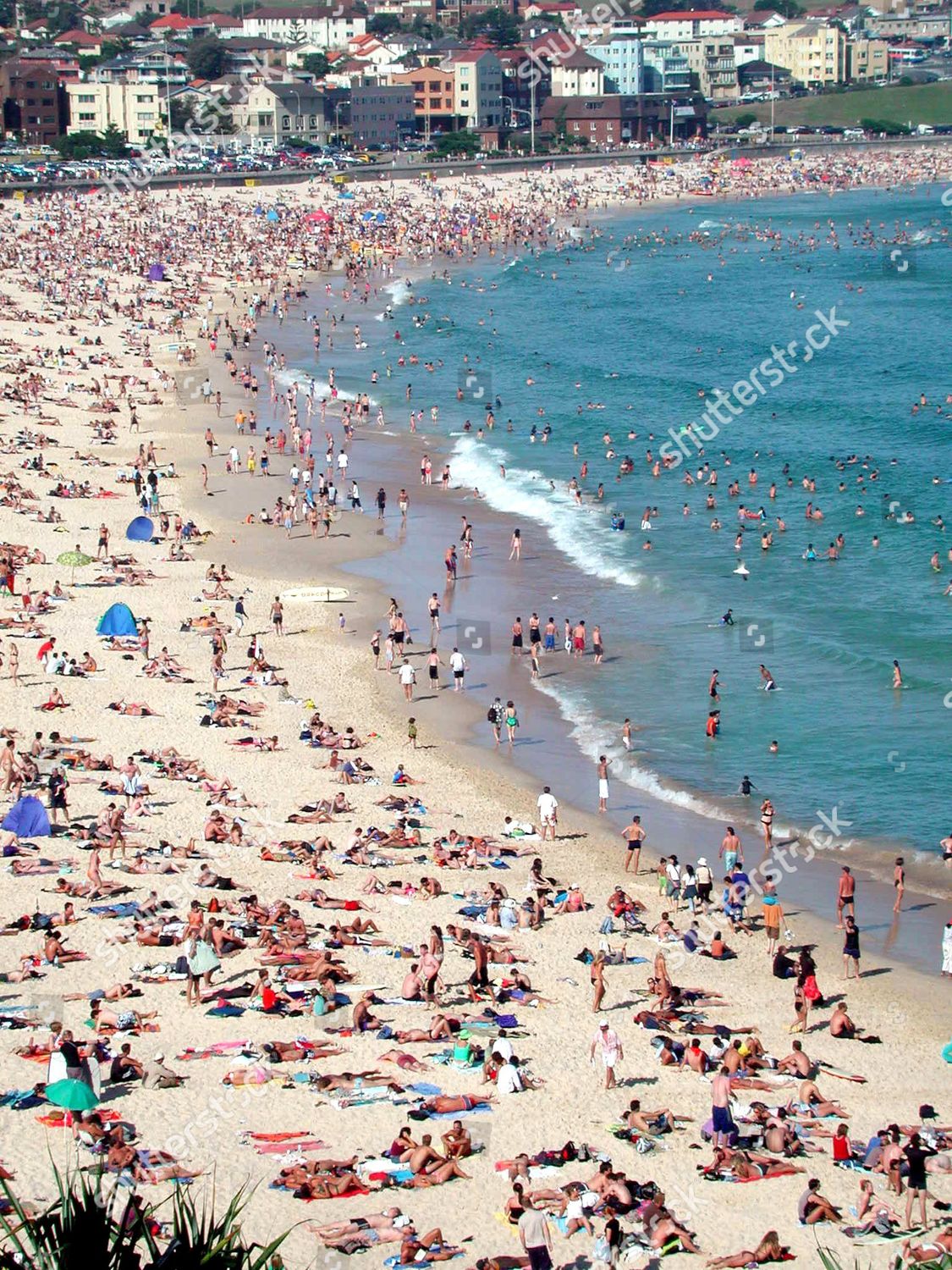People Sunbathing Bondi Beach Sydney Australia Editorial Stock Photo ...