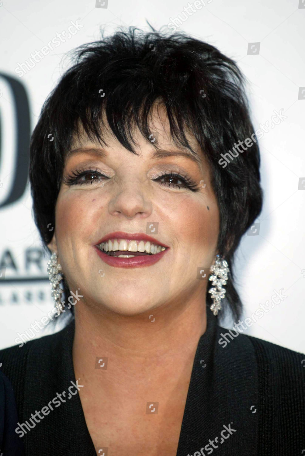 Liza Minnelli Editorial Stock Photo - Stock Image | Shutterstock