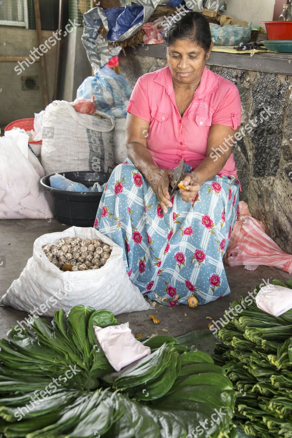 Woman Selling Sri Lankan Grown Tobacco Editorial Stock Photo Stock