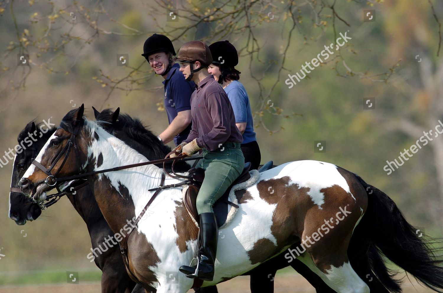 Prince Edward Editorial Stock Photo - Stock Image | Shutterstock