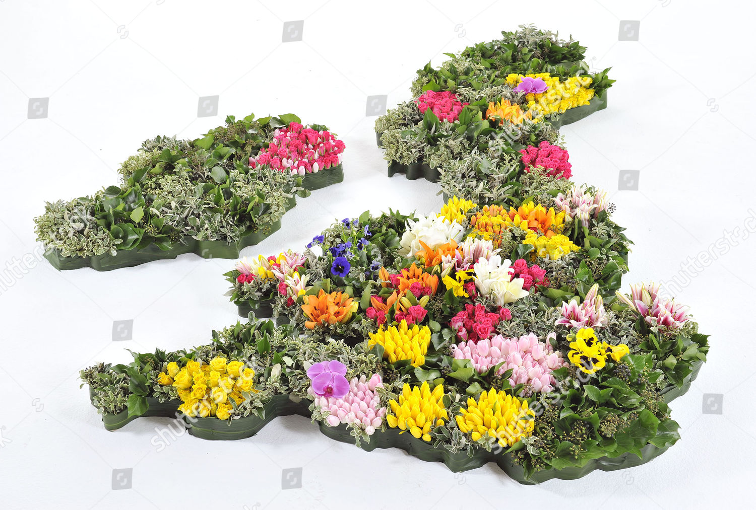 Floral Map Uk By Dobbies Garden Centres Redaktionelles Stockfoto
