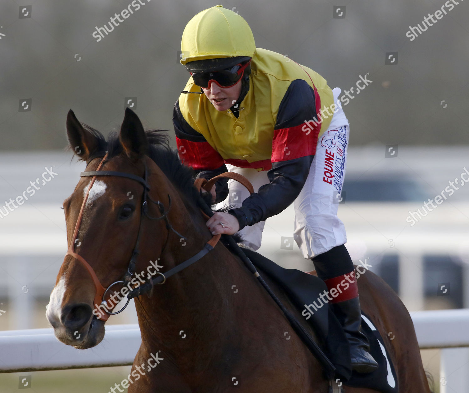 Cathy Gannon On Her First Ride Editorial Stock Photo Stock Image
