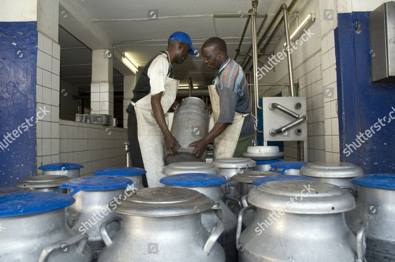 Workers Dairy Magoye Mazabuka Zambia Africa Editorial Stock Photo
