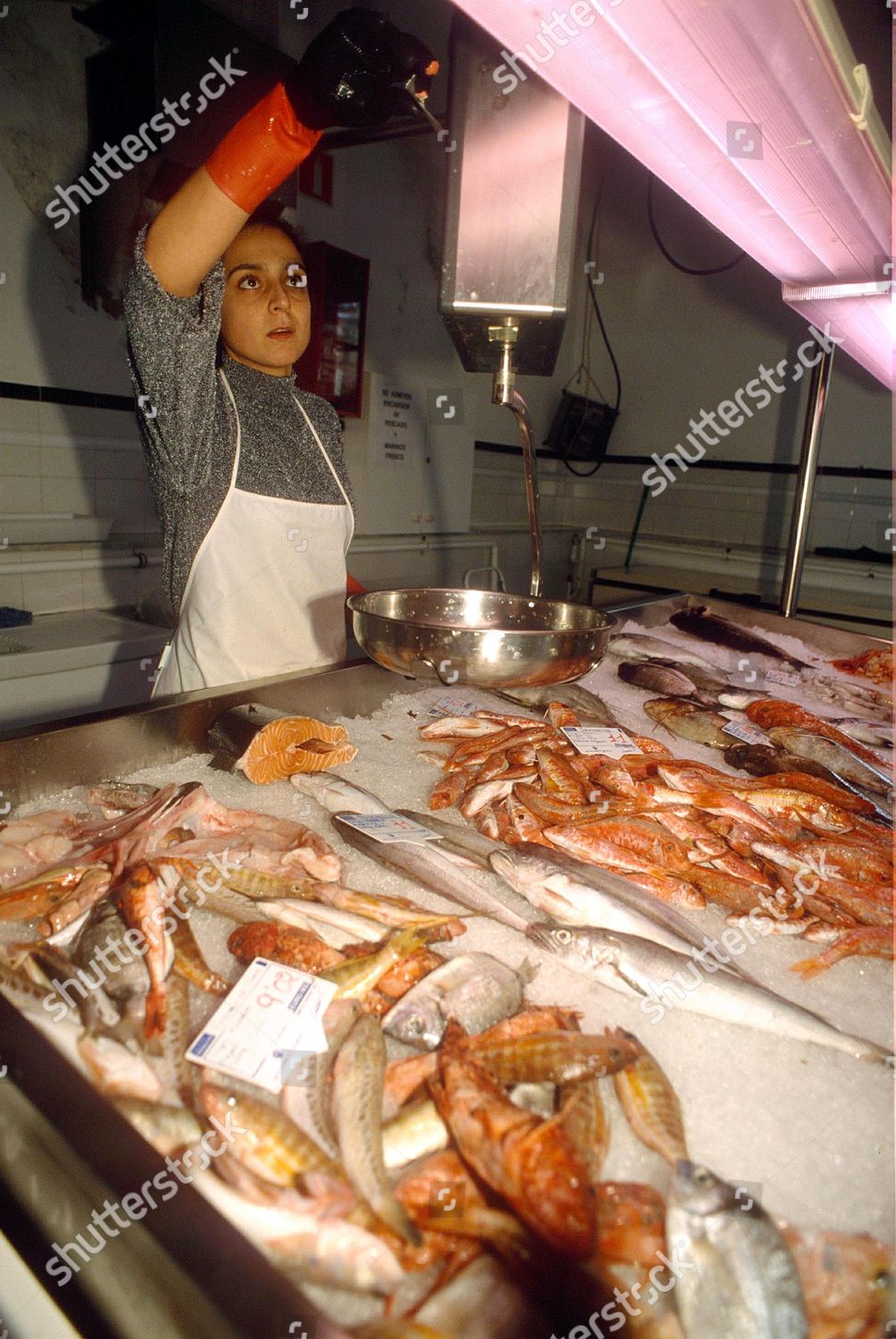 Mahon Fish Market Menorca Spain Editorial Stock Photo Stock Image