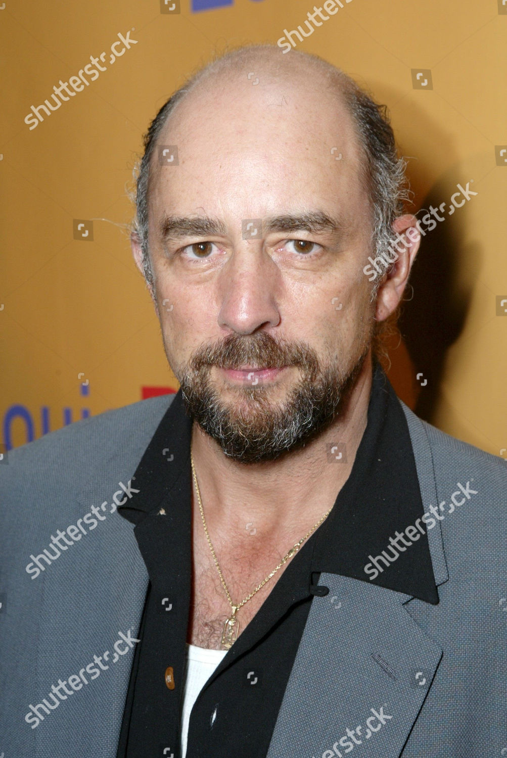 Richard Schiff Editorial Stock Photo - Stock Image | Shutterstock