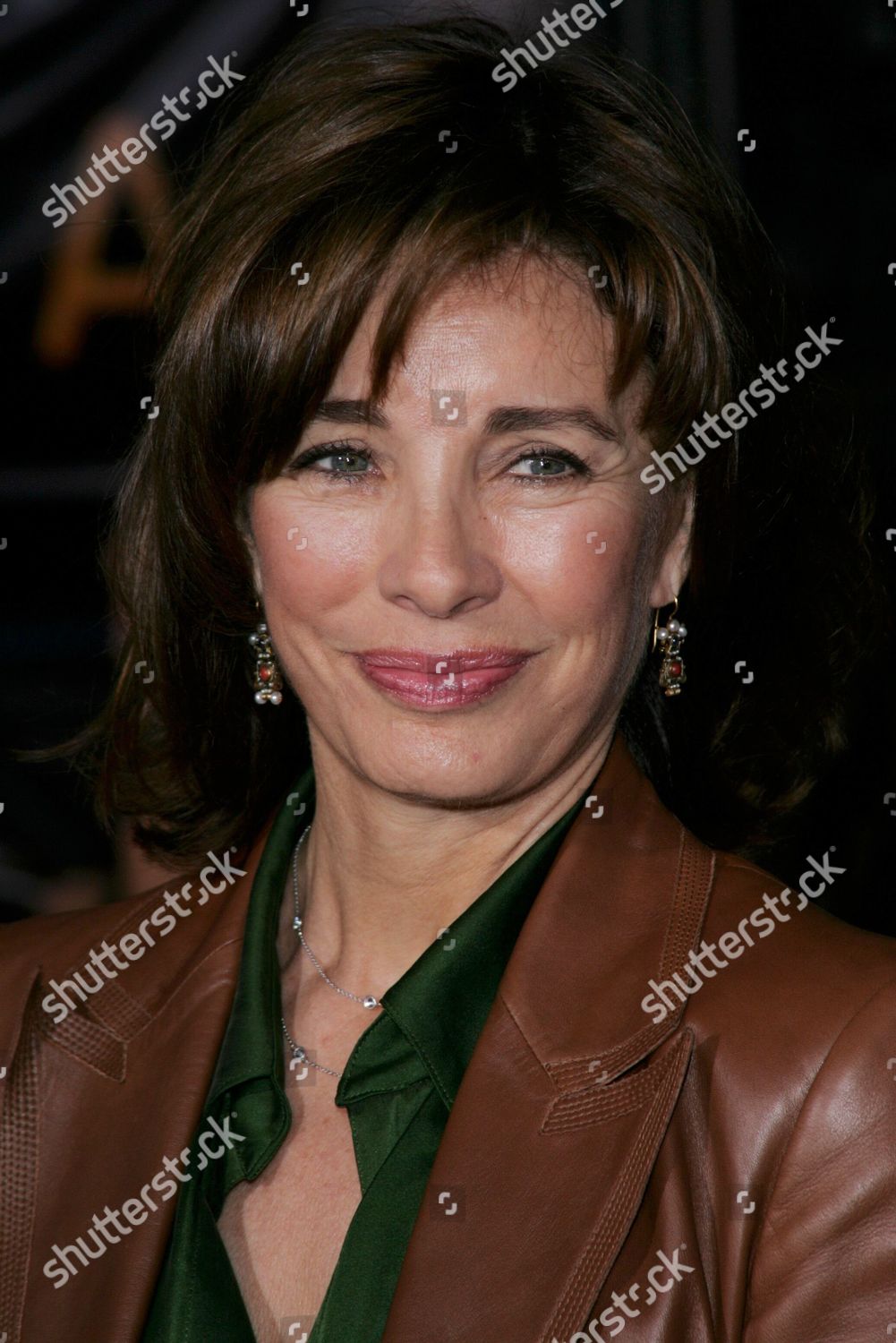 Anne Archer Editorial Stock Photo - Stock Image | Shutterstock
