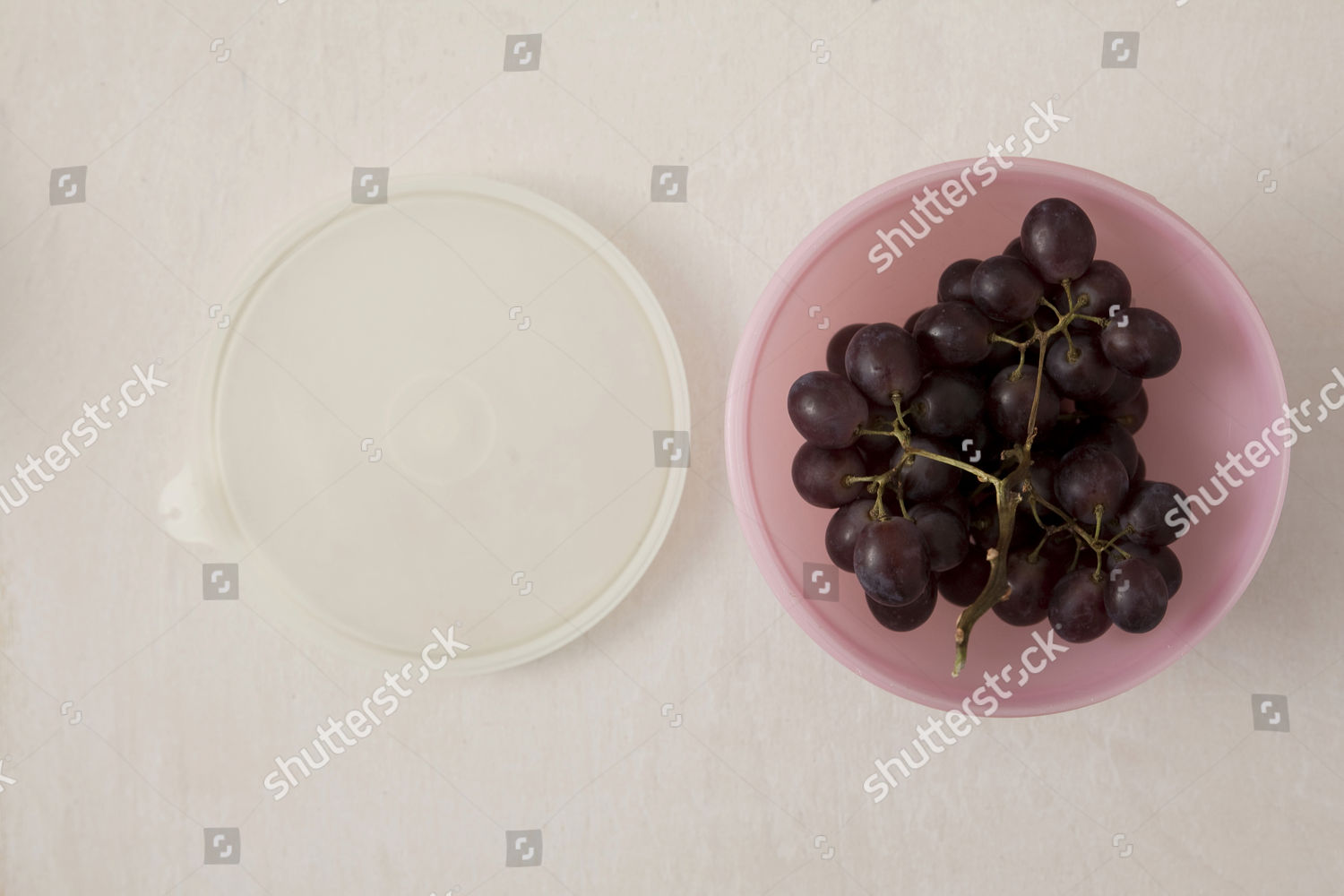 Black Grapes Tupperware Container Editorial Stock Photo Stock Image