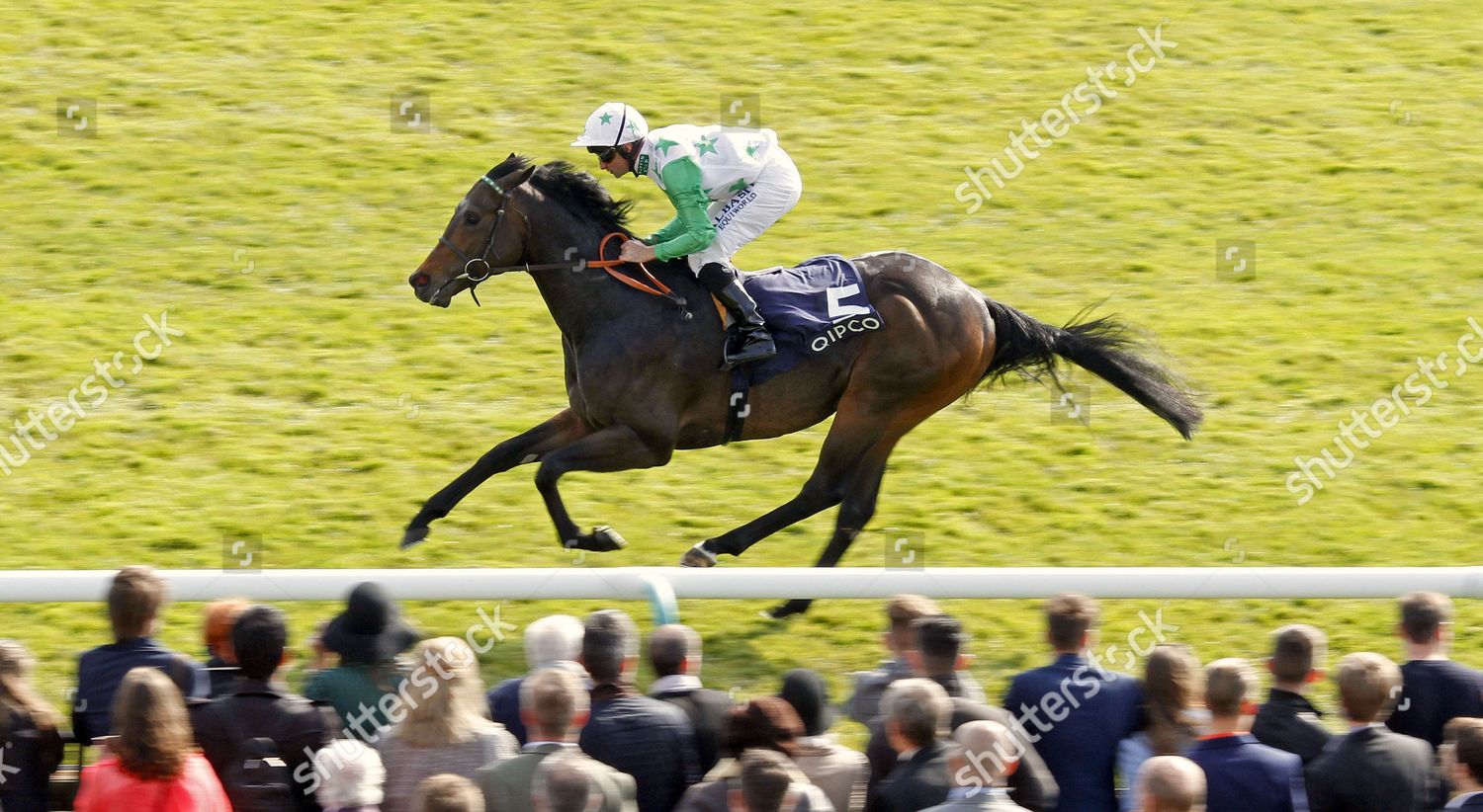 Twilight Son Dane Oneill Wins Charm Editorial Stock Photo - Stock Image