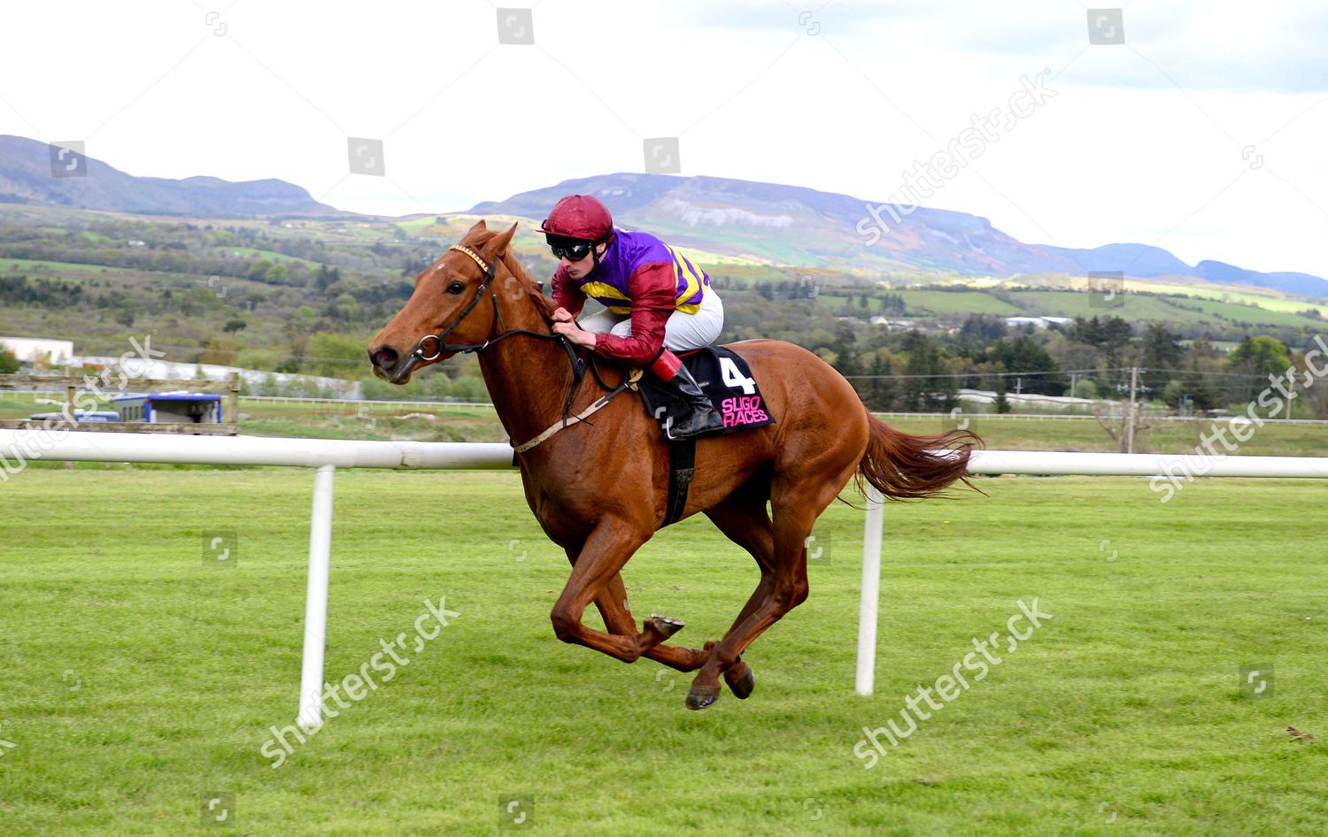 Sligo Qatea Declan Mcdonogh Winning Trainer Editorial Stock Photo