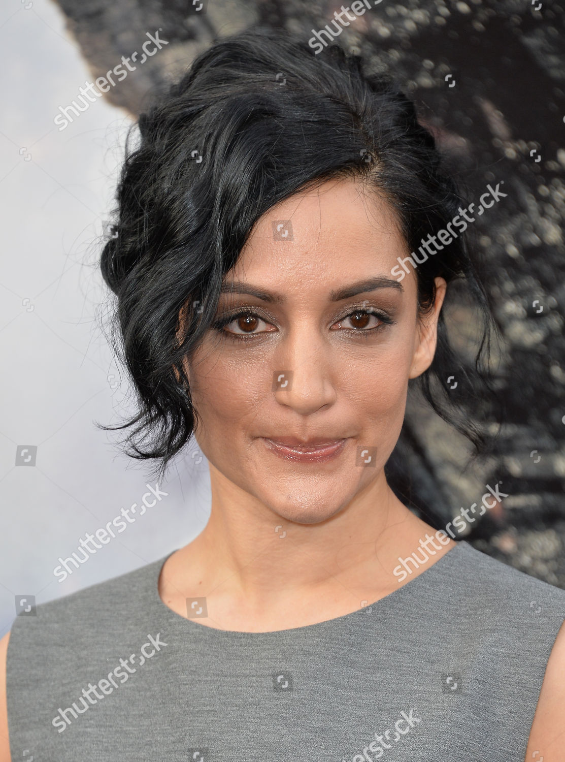 Archie Panjabi Editorial Stock Photo - Stock Image | Shutterstock