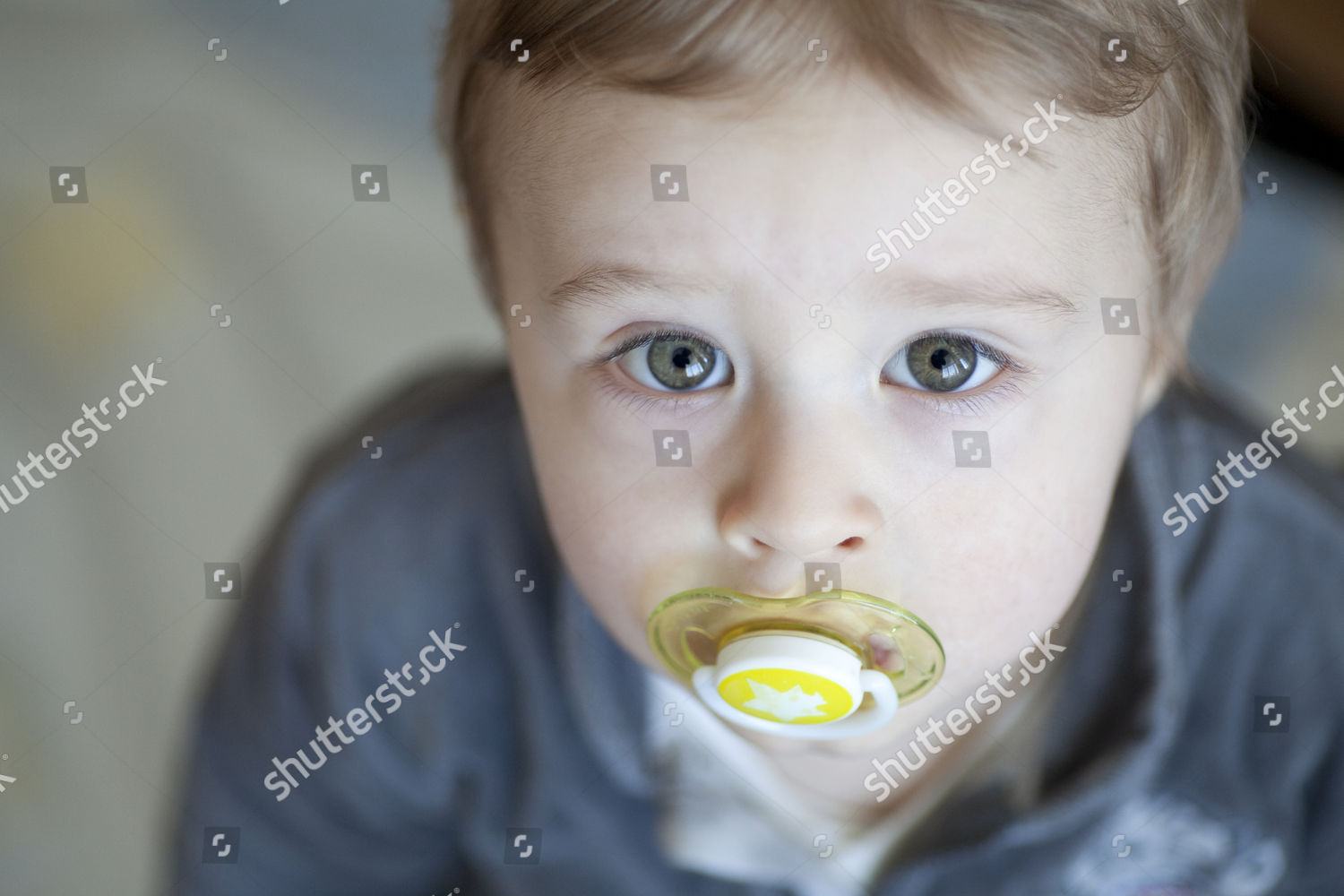 model-released-young-boy-18-months-editorial-stock-photo-stock-image