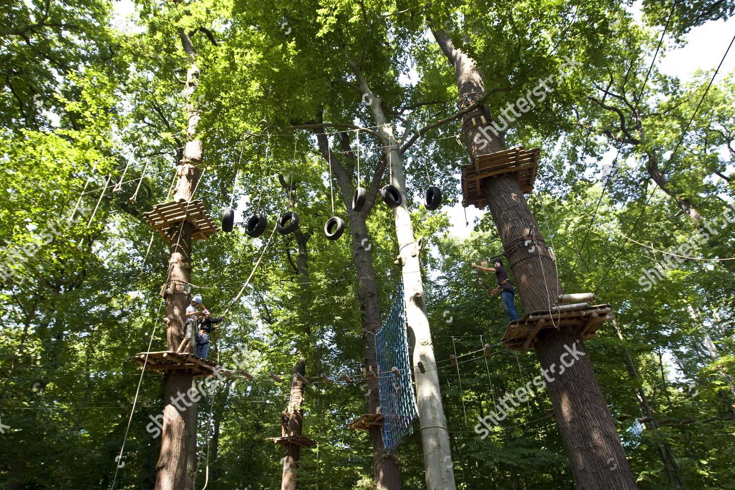 Ropes Course Wooden Platforms High Trees Editorial Stock Photo - Stock ...