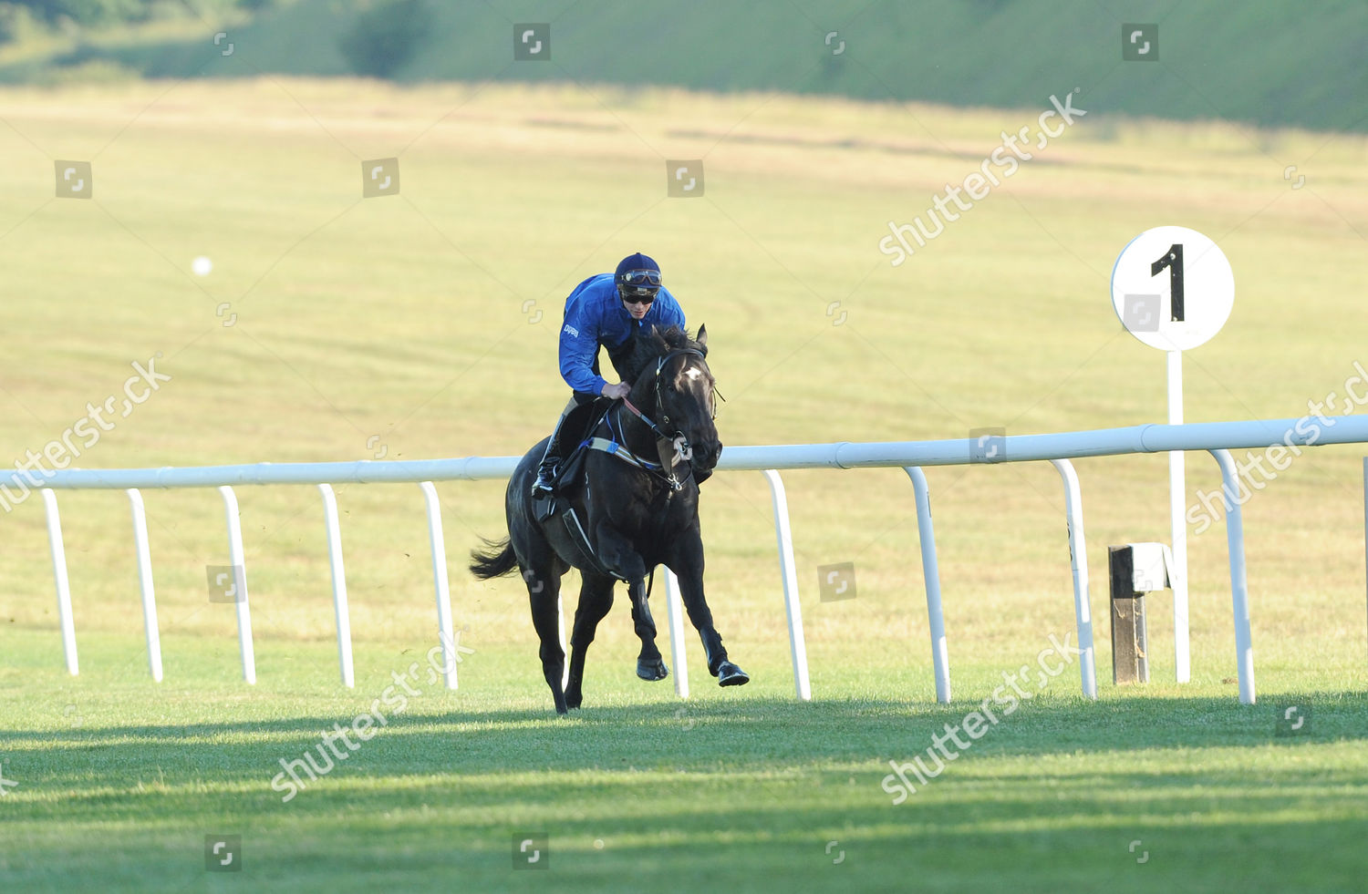 July Course Newmarket Brazen Beau Works Editorial Stock Photo Stock