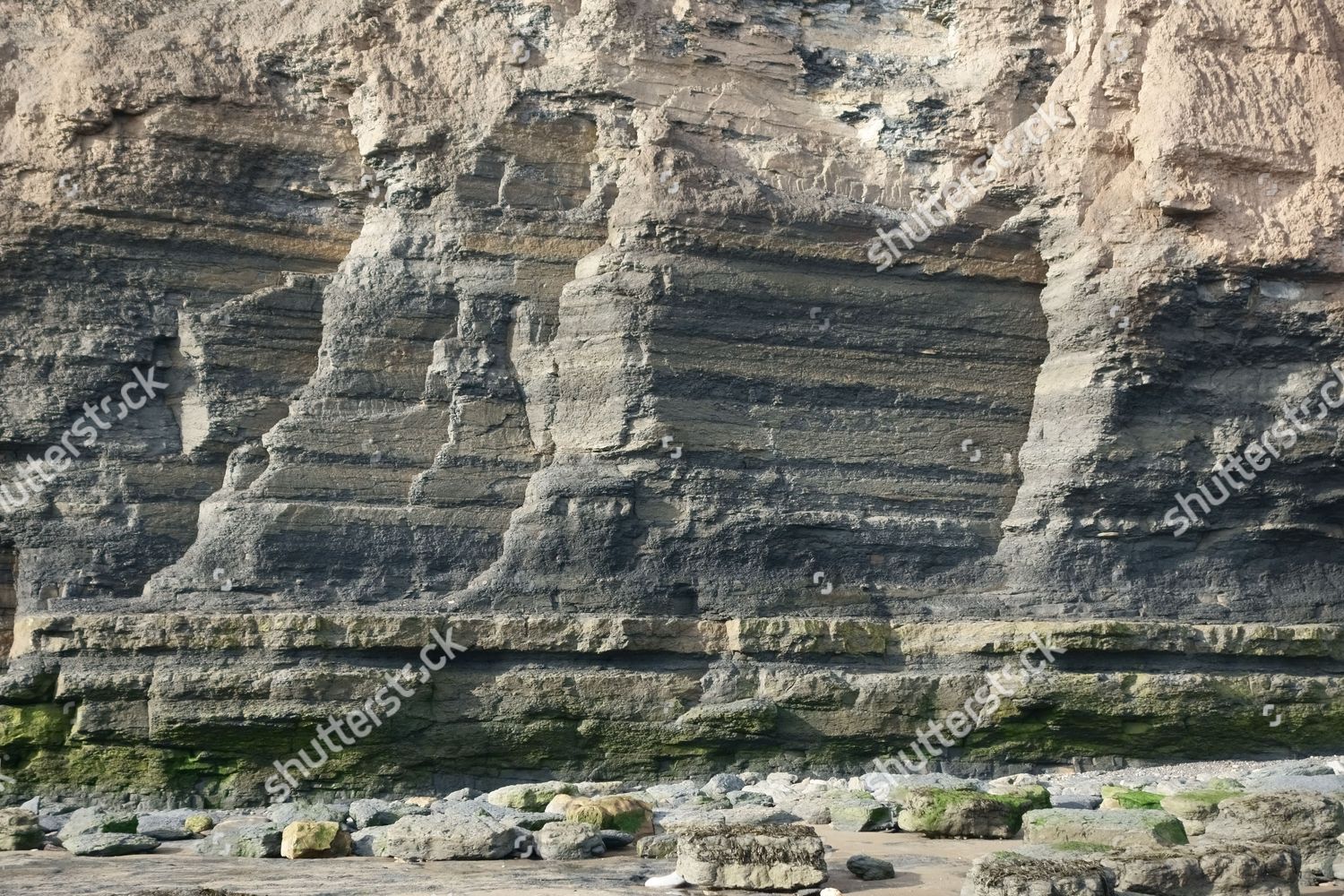 Fossil Bearing Sedimentary Rock Strata Forming Editorial Stock Photo ...
