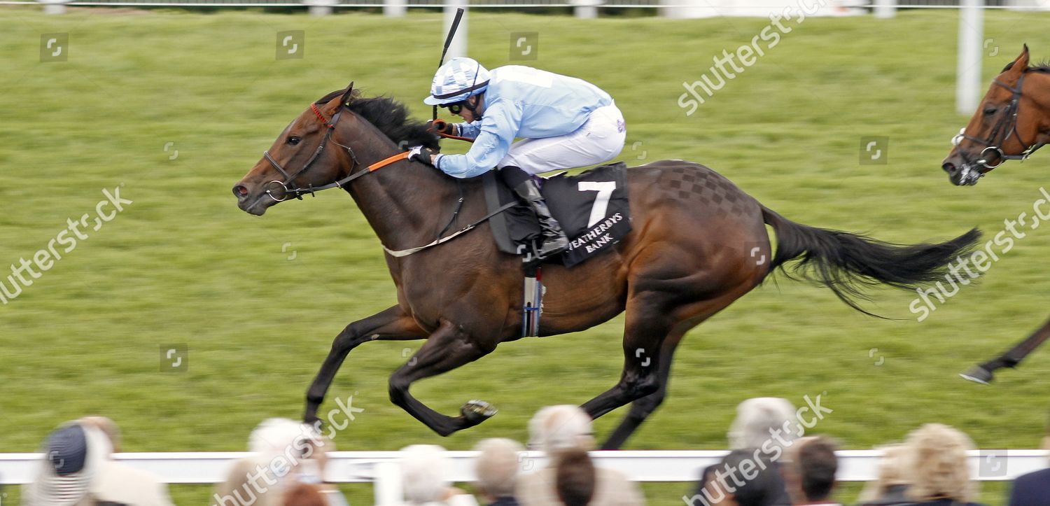 Ridge Ranger Neil Farley Wins Weatherbys Editorial Stock Photo - Stock ...