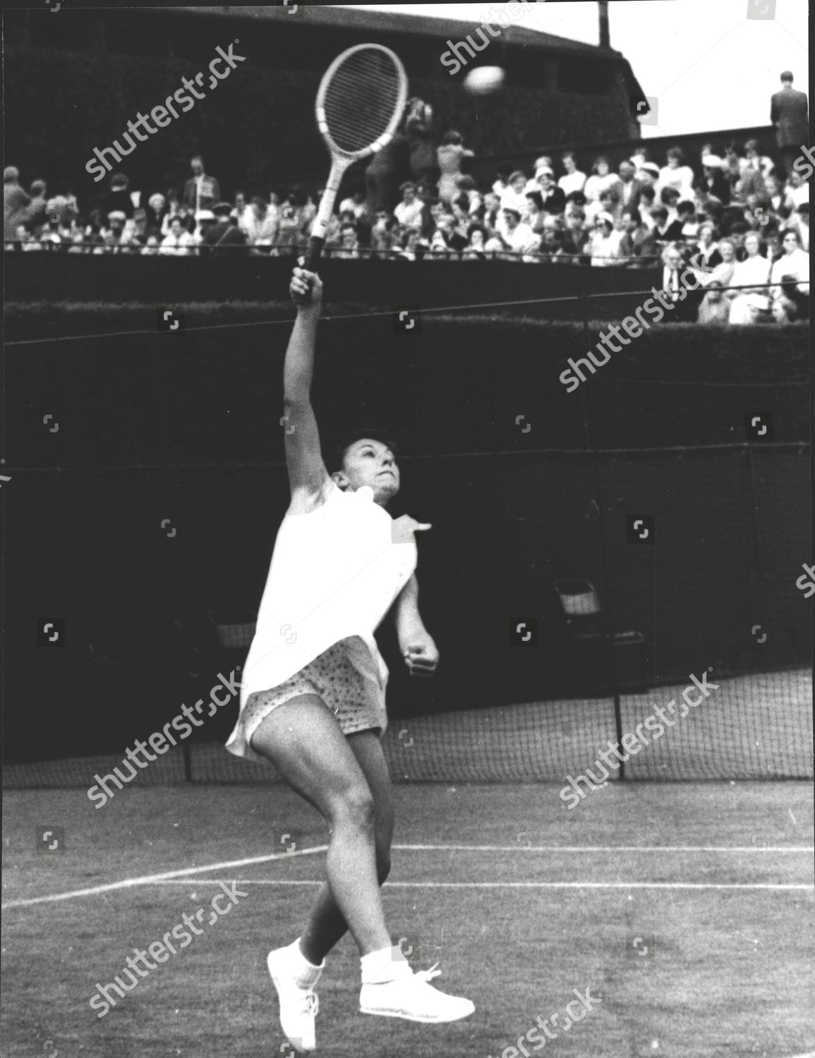 Hopps Us Tennis Player Action Editorial Stock Photo Stock Image