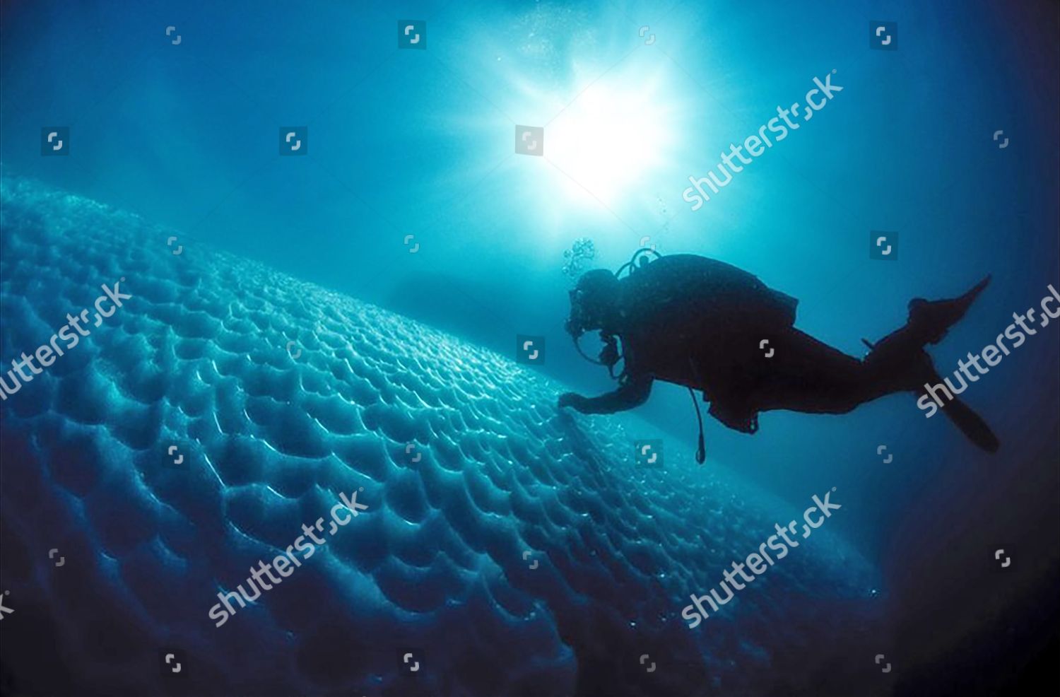 Person Diving Under Iceberg Editorial Stock Photo Stock Image Shutterstock