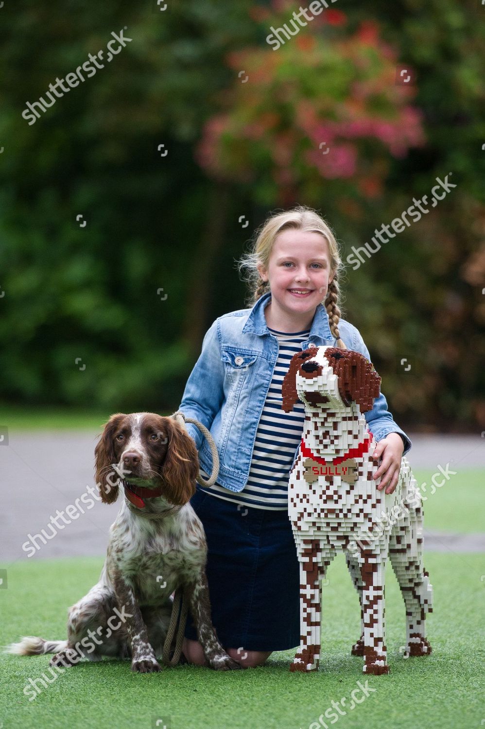 lego springer spaniel