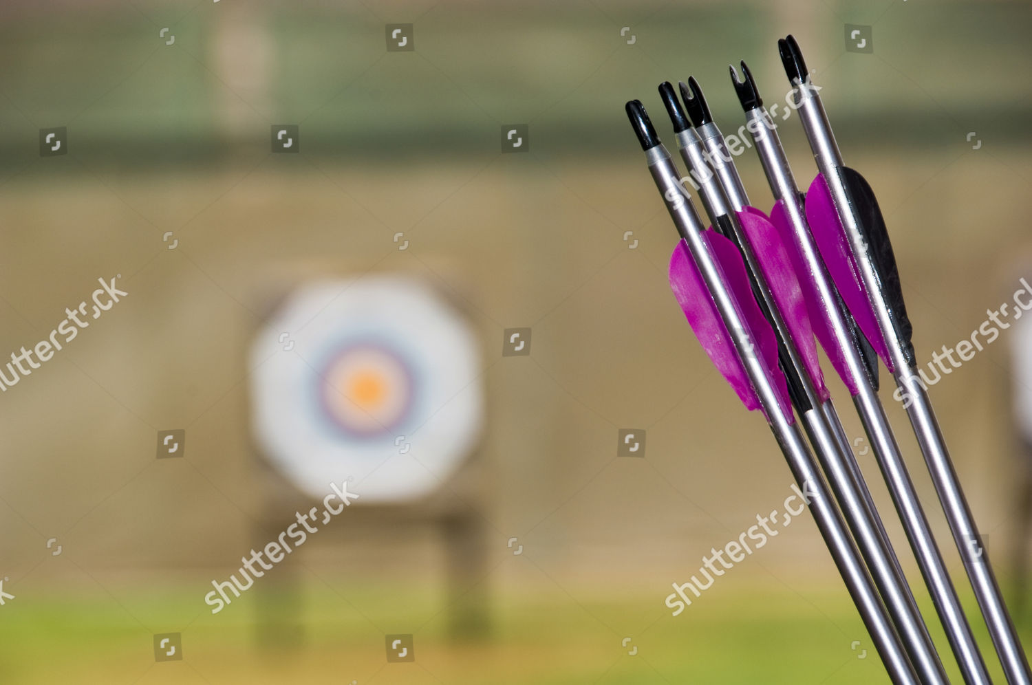 Arrows Outdoor Target Archery Competition Editorial Stock Photo Stock Image Shutterstock