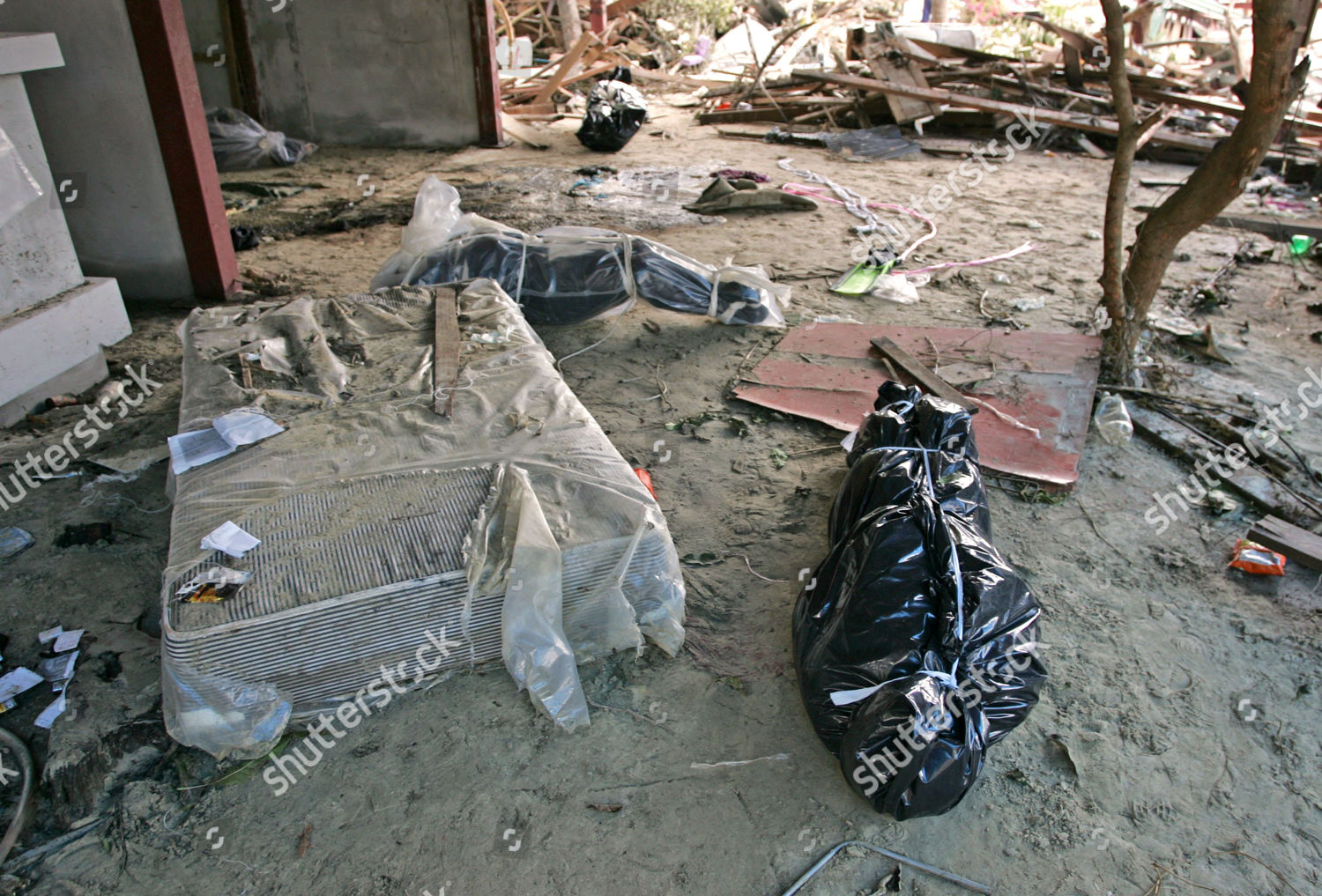 Bodies Lie Waiting Be Collected Amid Devastation Editorial Stock Photo Stock Image Shutterstock