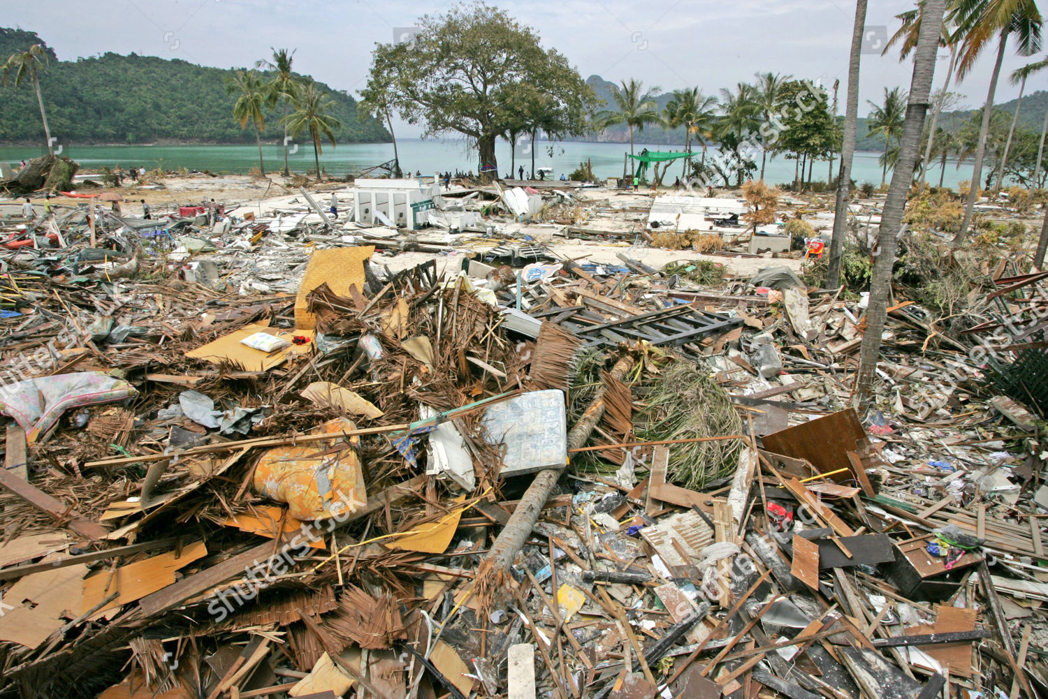 Devastation On Thai Island Resort Phi Phi Editorial Stock Photo Stock Image Shutterstock