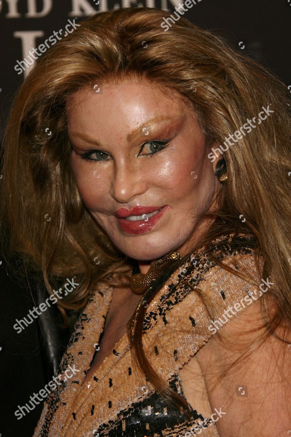 Jocelyn Wildenstein Editorial Stock Photo - Stock Image | Shutterstock
