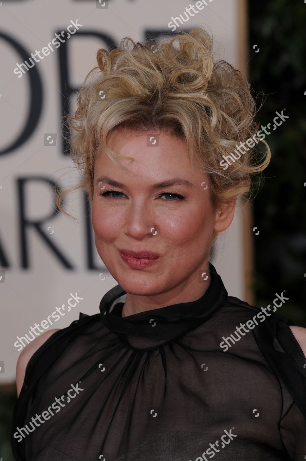 Renee Zellweger Editorial Stock Photo - Stock Image | Shutterstock