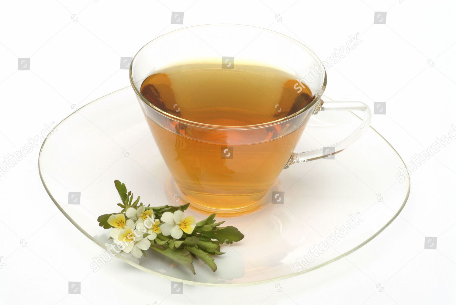 Herb Tea Made Heartsease Wild Pansy Editorial Stock Photo Stock Image