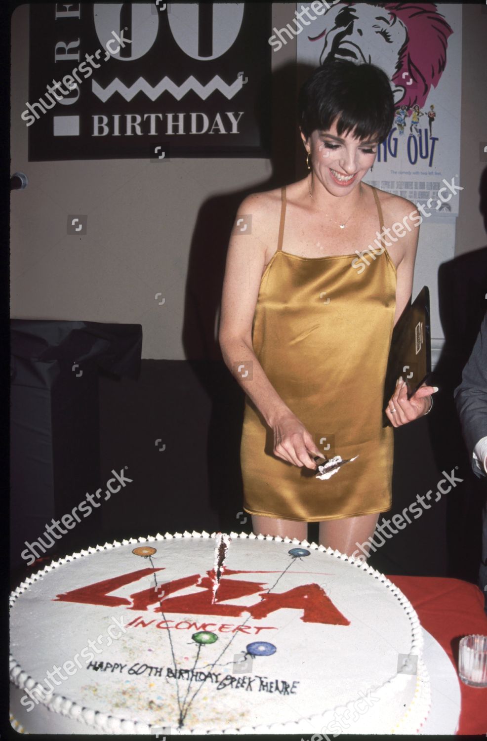 Liza Minnelli Editorial Stock Photo - Stock Image | Shutterstock